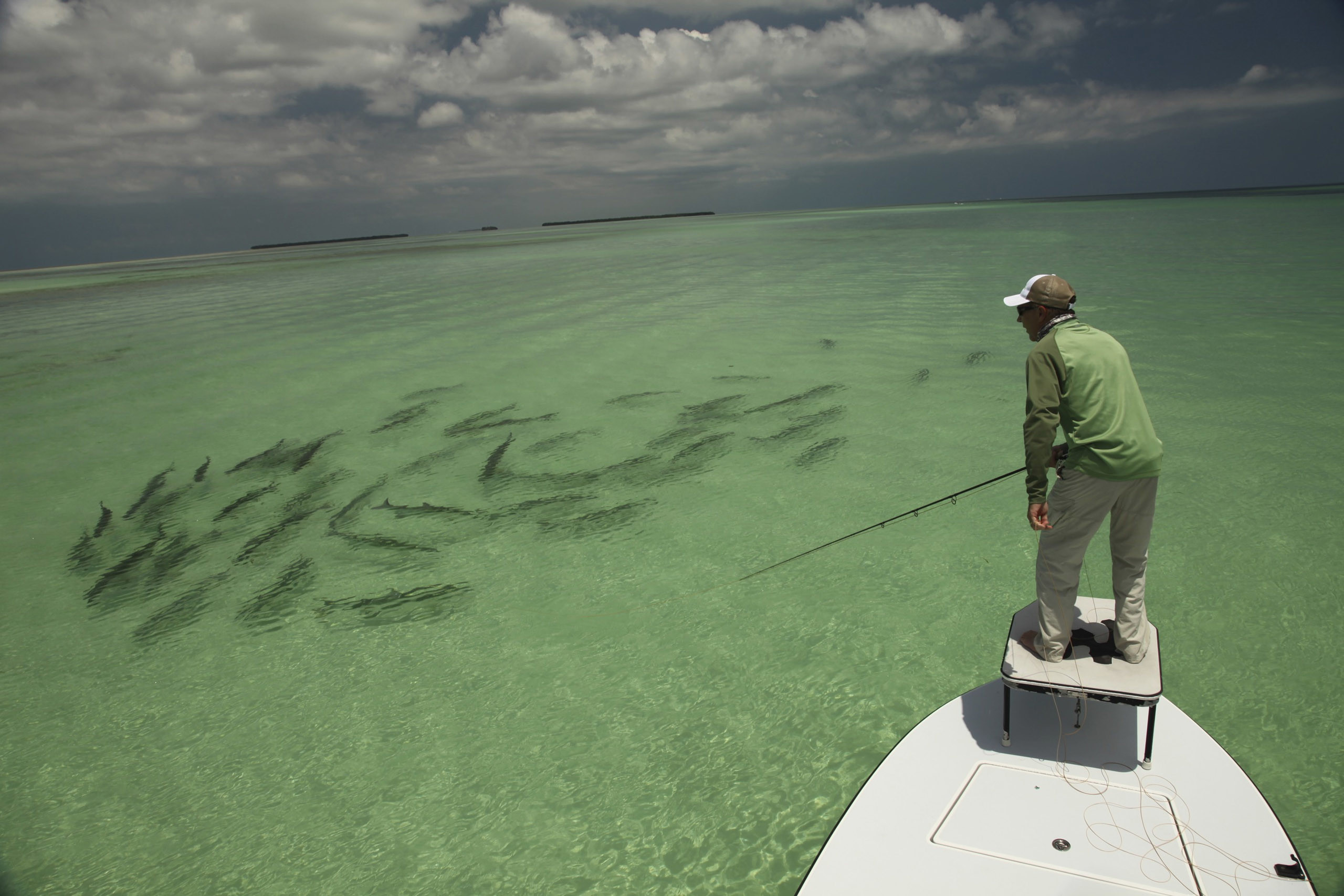 2560x1707 Back Pix For Saltwater Fly Fishing Art 
