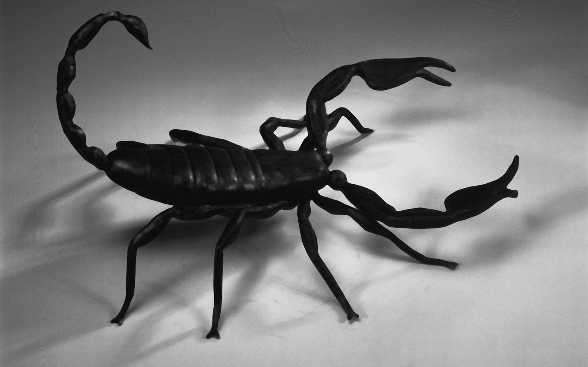 1920x1200 Gallery For > Black Scorpion Wallpaper