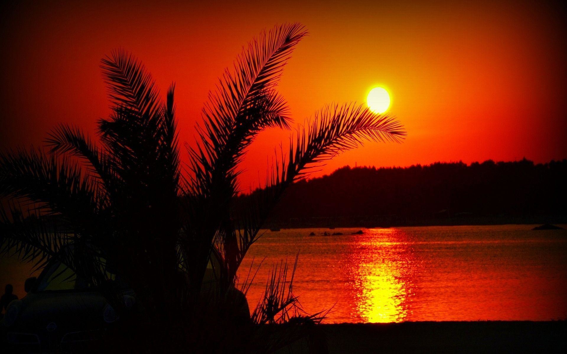 1920x1200 Summer Sunset Wallpapers Hq Images 12 HD Wallpapers | Hdimges.