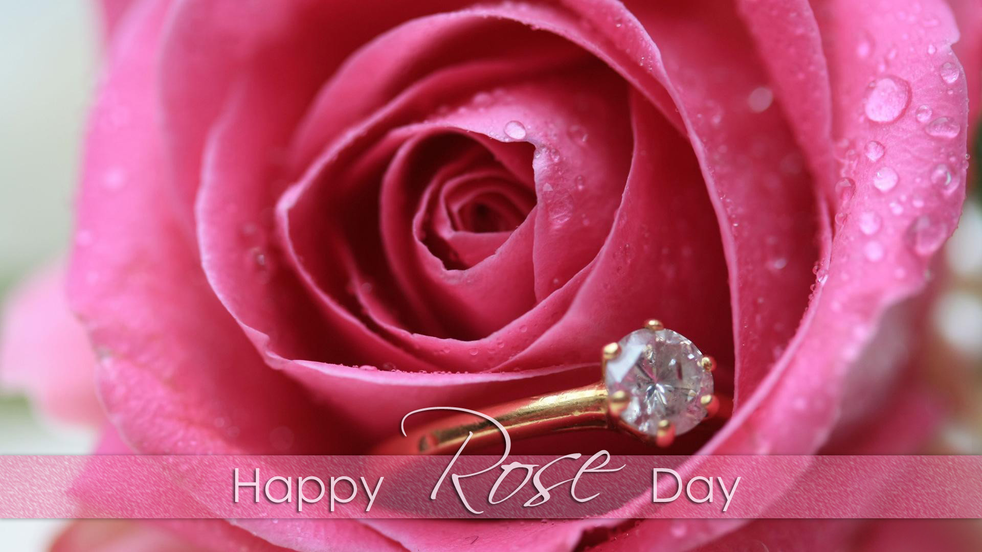 1920x1080 Download – Rose Day Images for Whatsapp DP Profile