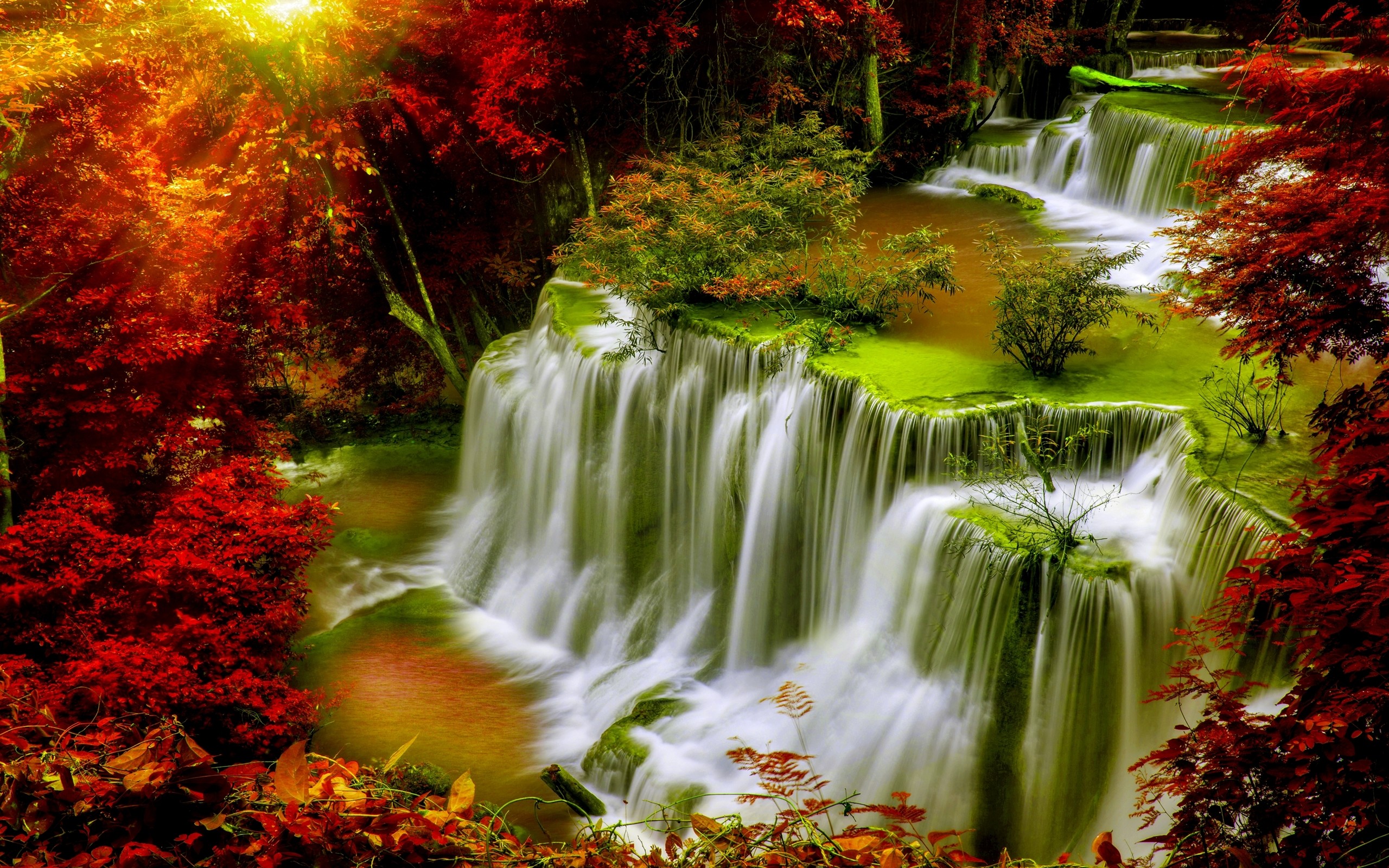 2560x1600 Cascade Falls-Autumn-forest-red leaves-sunlight-Desktop HD Wallpaper for  Mobile phones-Tablet and PC-2560Ã1600