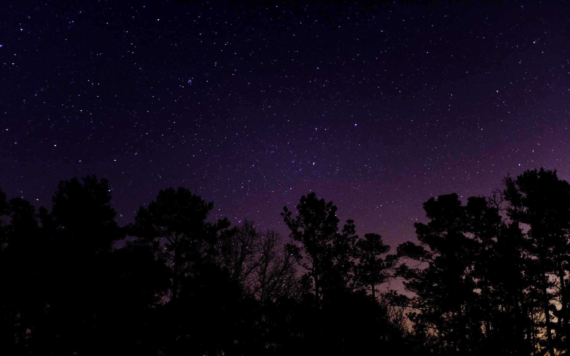 1920x1200 <b>Nature Starry Night</b>