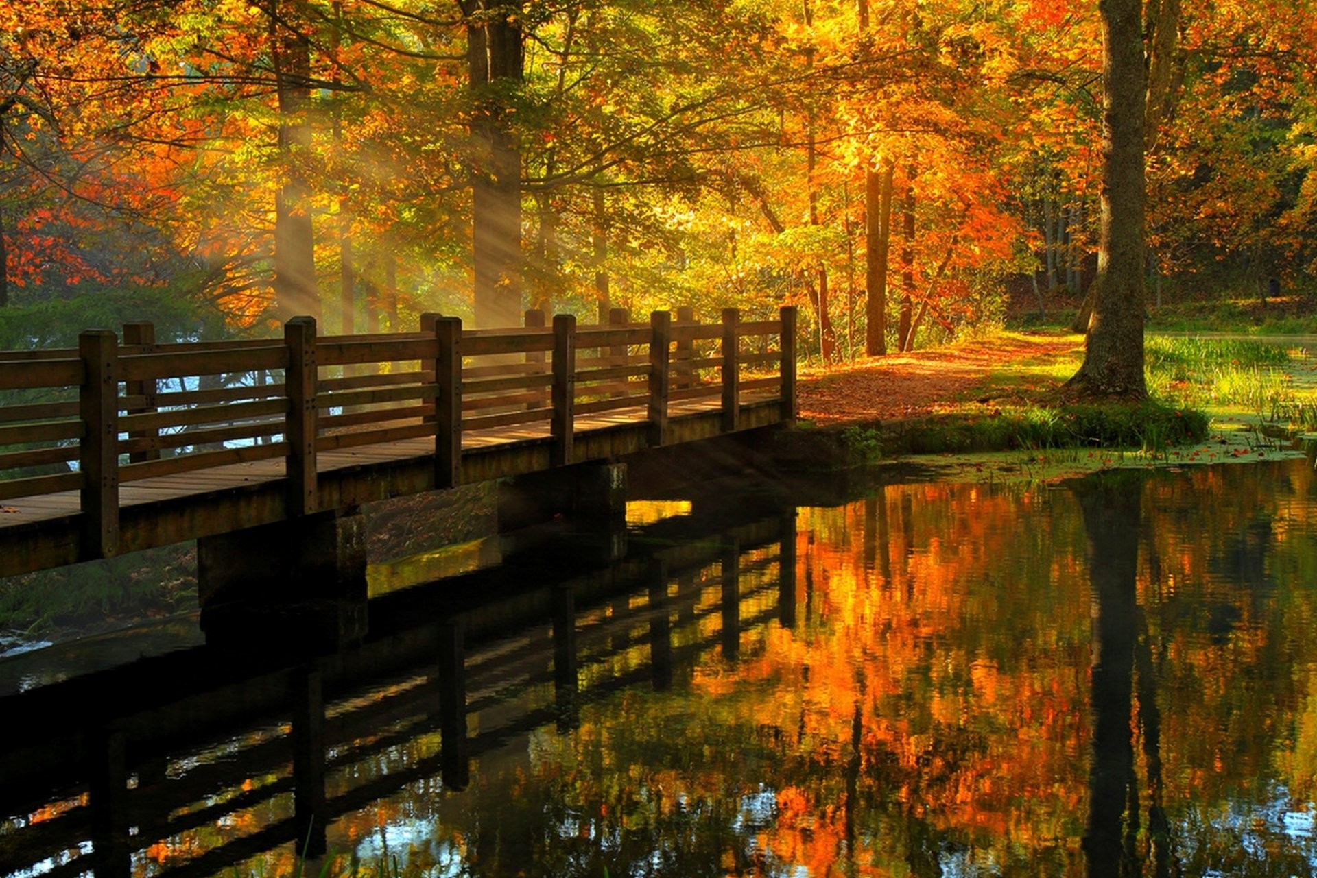 1920x1281 leaves park alley trees forest autumn walk hdr nature river water view fall  bridge reflection tree