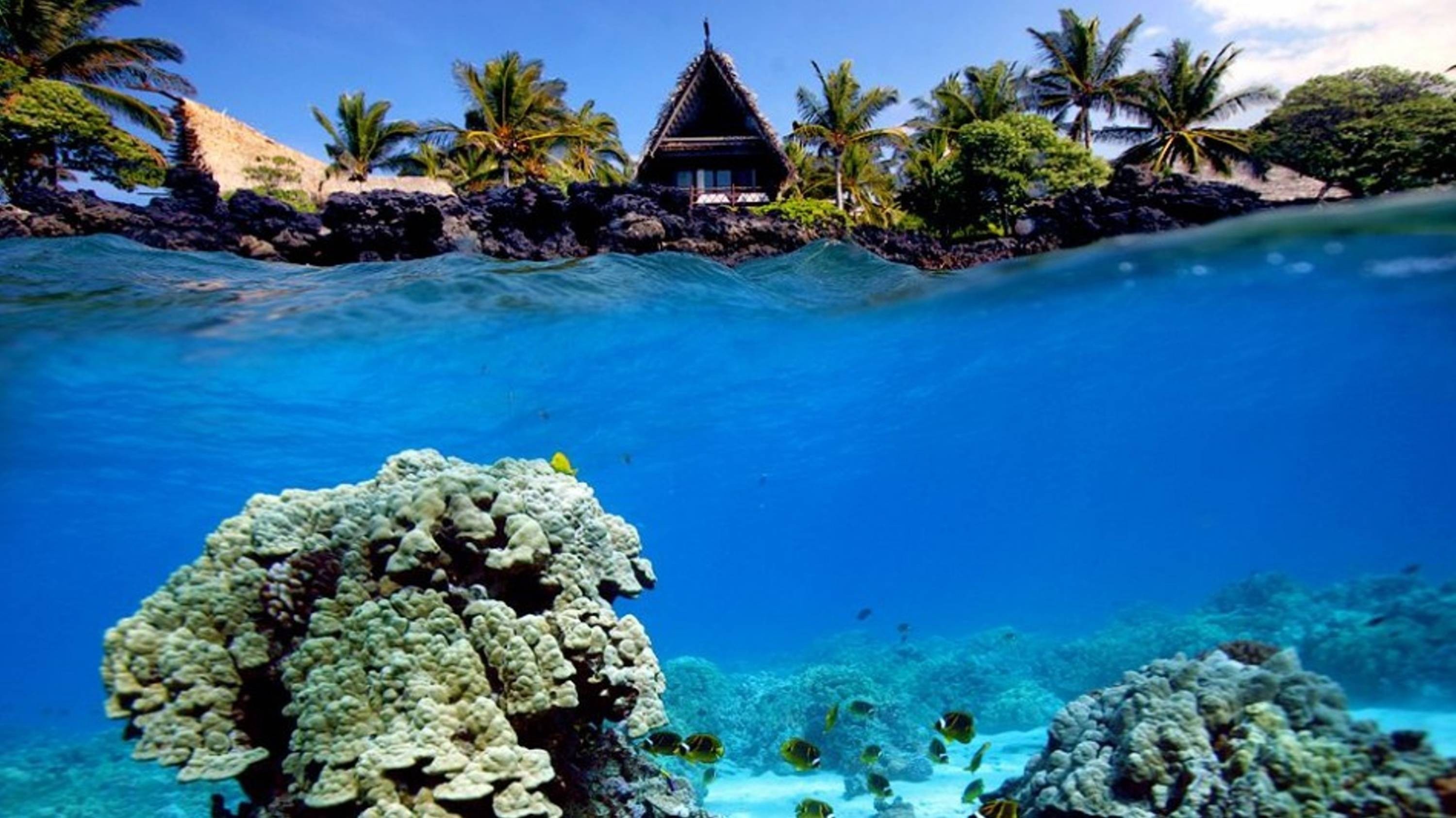 3000x1686 underwater shot of coral reef and beach hut  wallpaper