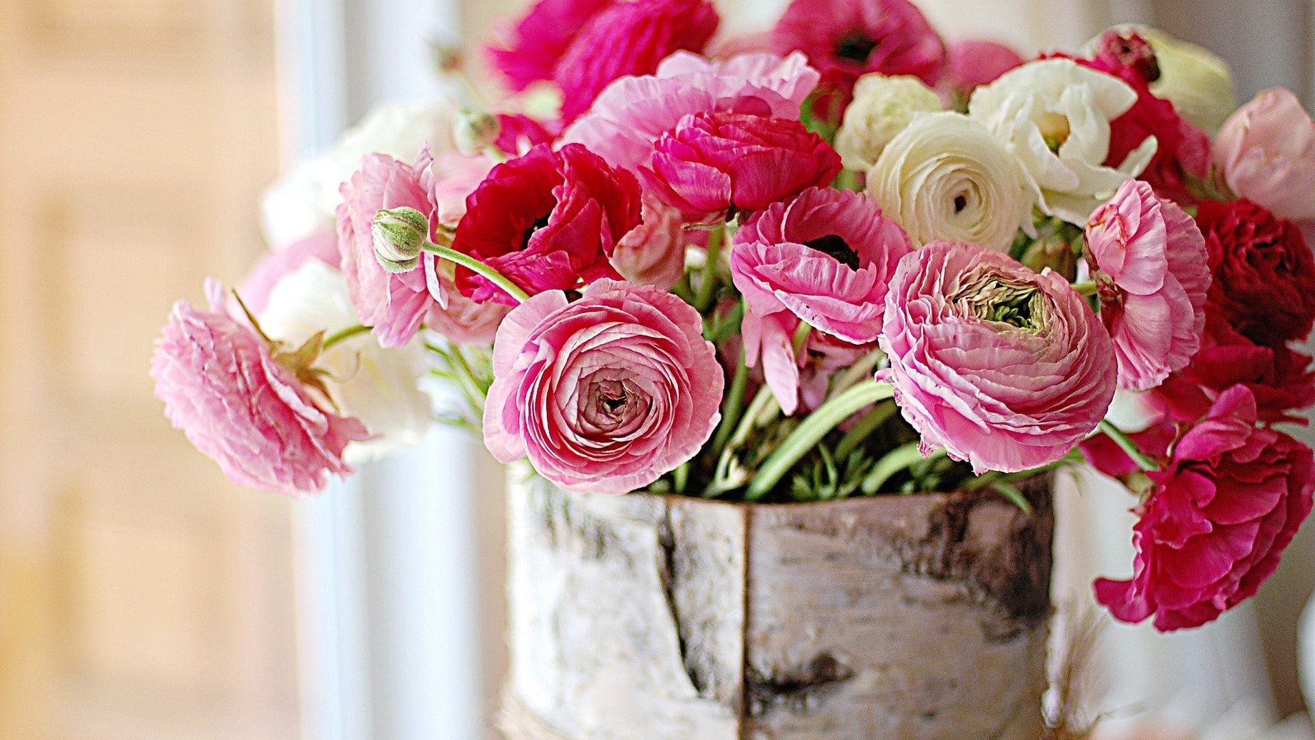 1920x1080 Bokeh Bowl Pink Color Flowers Life Holidays Nature Window Bouquets Macro  Soft Still Vase Valentine Wallpapers New - 1920x1200