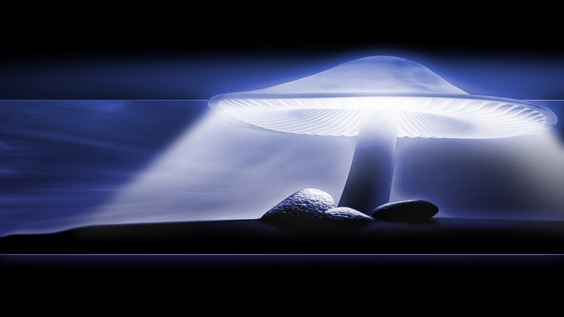 1920x1080 Neon Mushroom Wallpaper Images & Pictures - Becuo