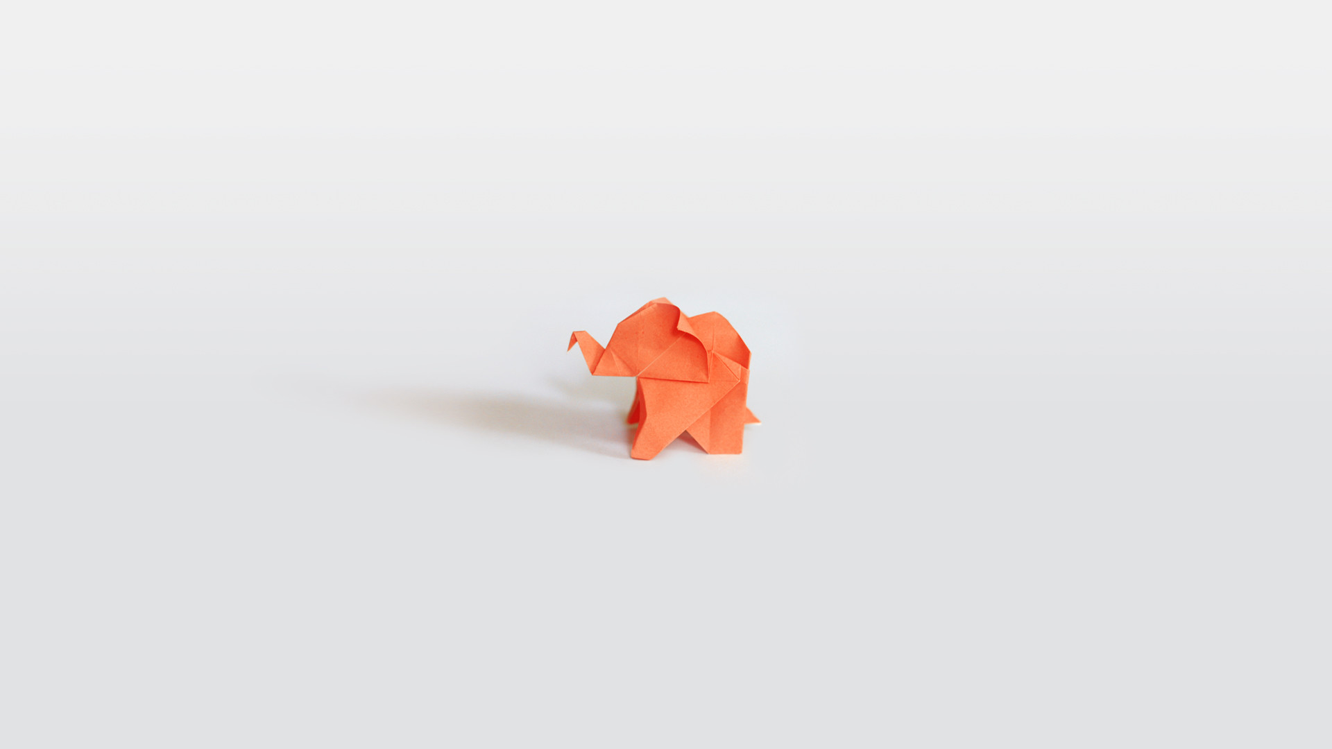 1920x1080 ... elephant for your desktop, download him here ...