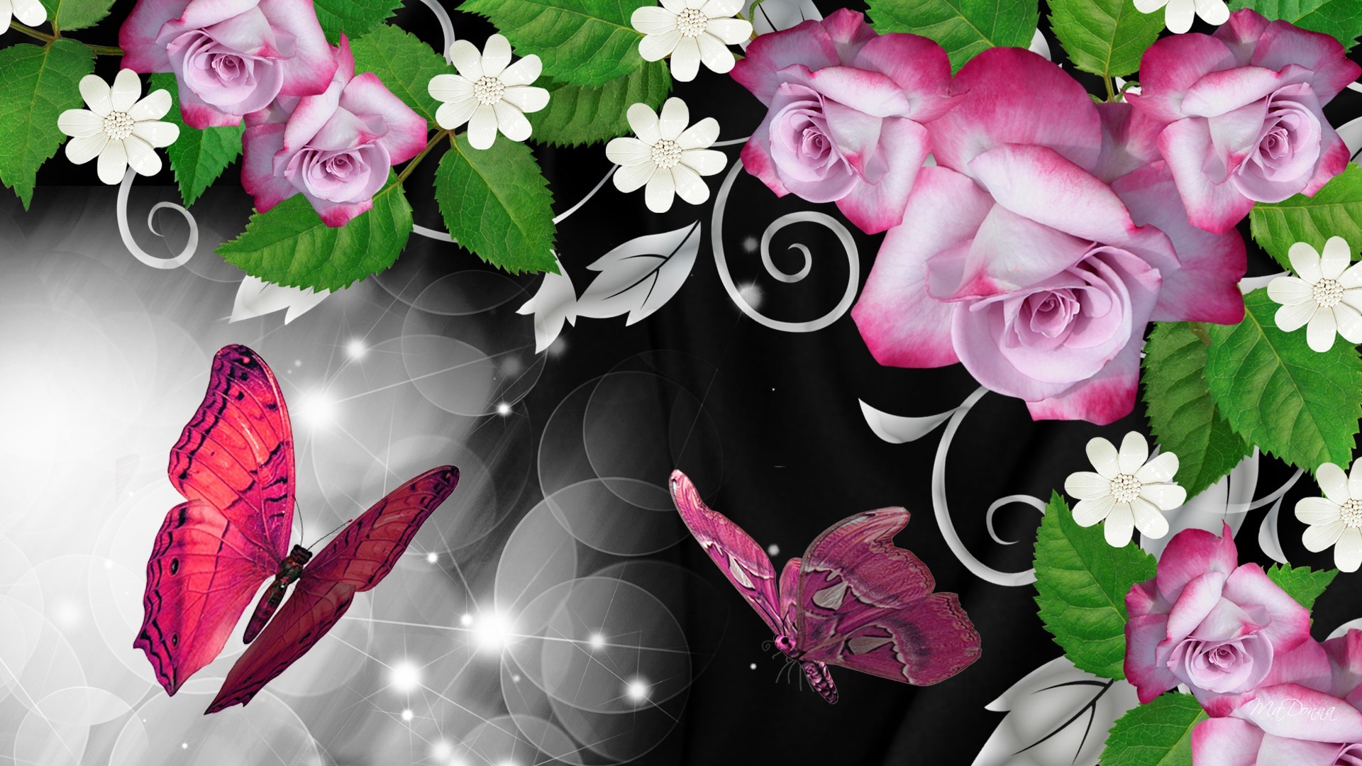 1920x1080 Butterflies and Roses Wallpaper - WallpaperSafari