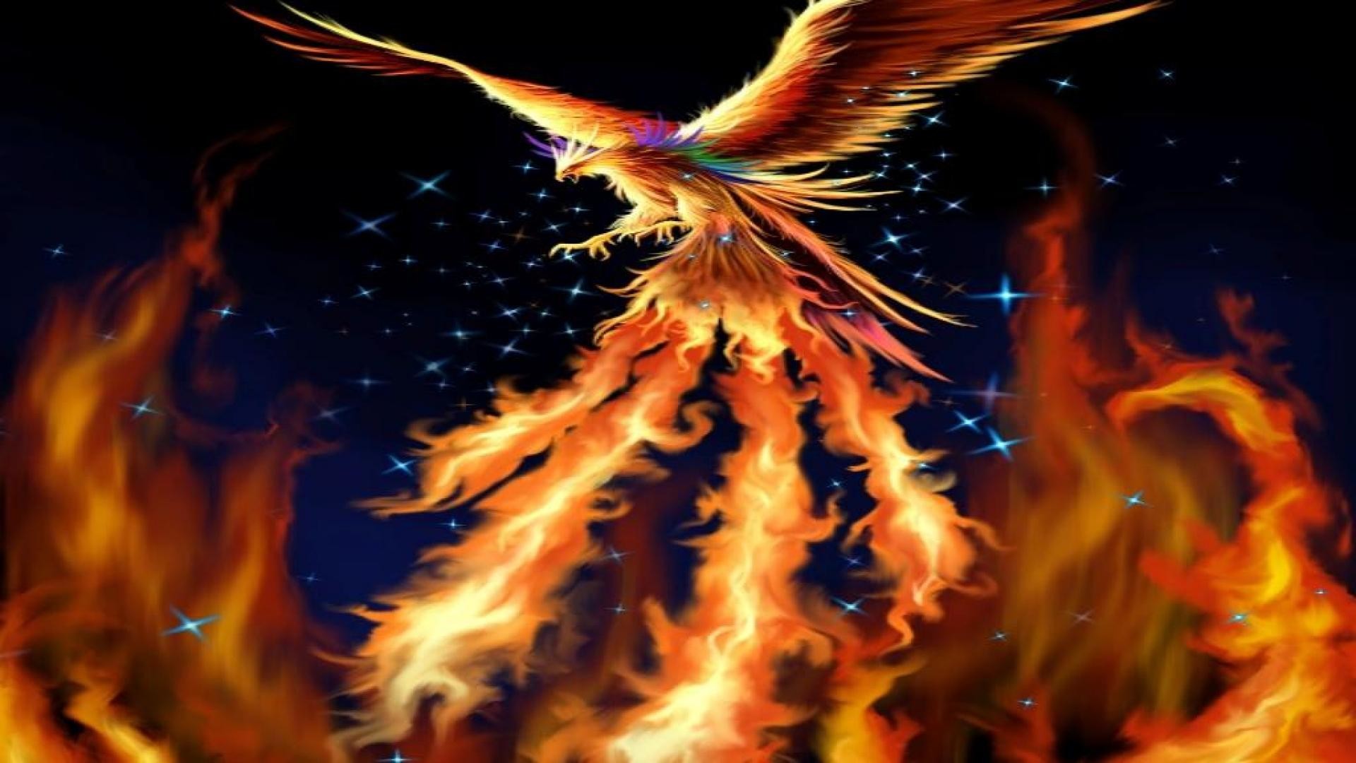 1920x1080 Fantasy fire bird phoenix wallpaper HD.