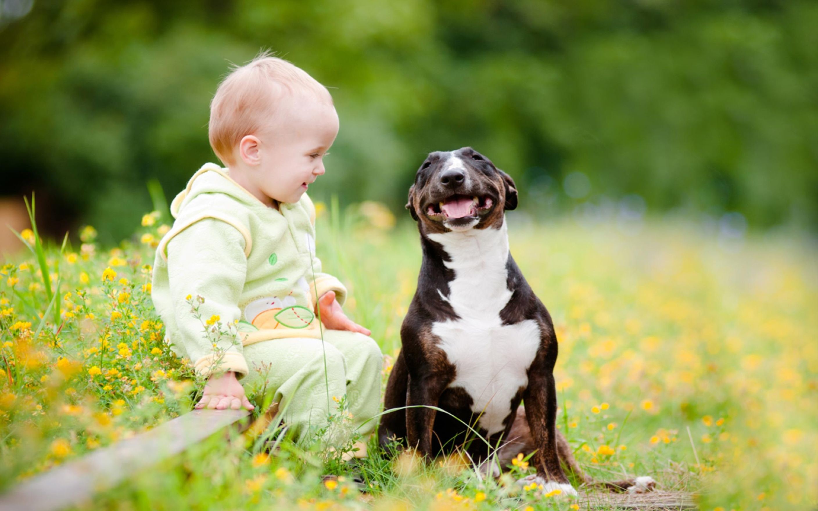 2816x1760 Cute Image of A Small Child And Puppy Wallpaper