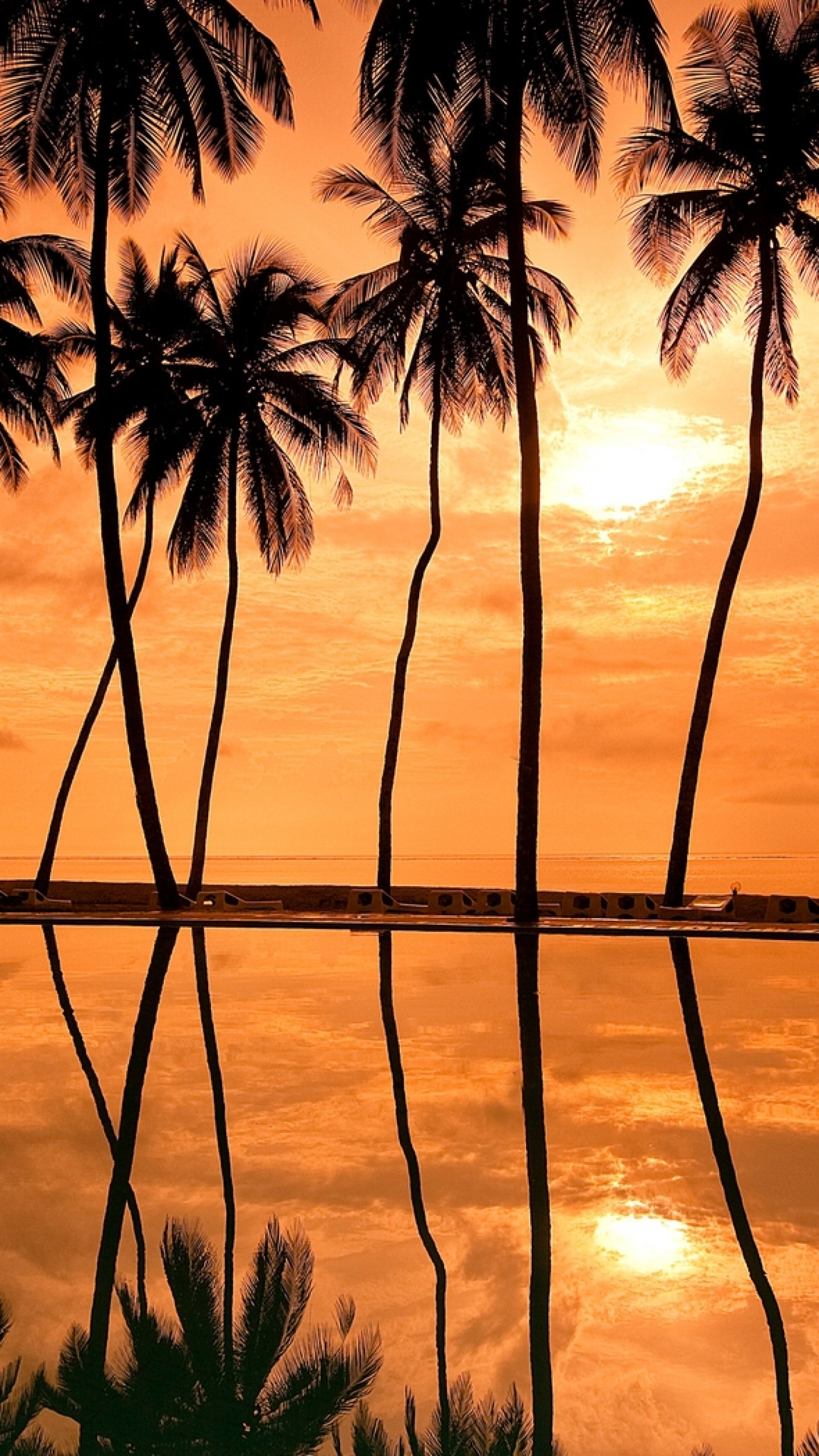 1440x2560 Preview wallpaper palm trees, decline, orange, outlines, hawaii 