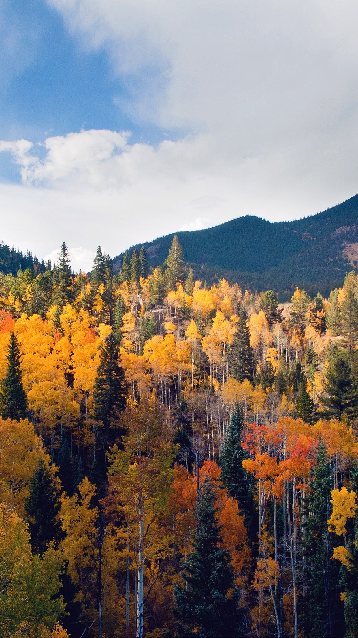 1242x2208 Autumn Splendor. [Desktop wallpaper 1440x900] | Landscape Desktop Wp's |  Pinterest