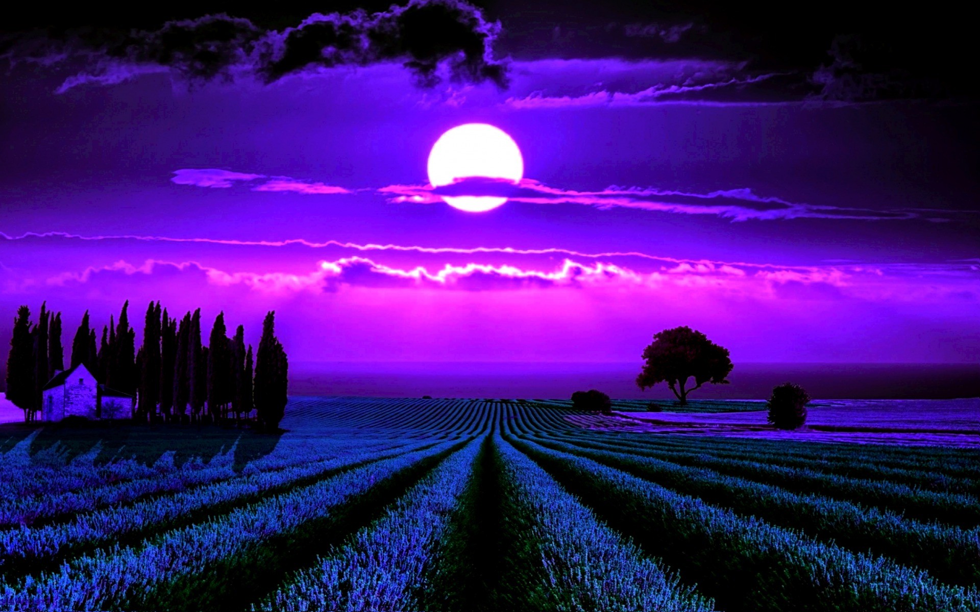 1920x1200  Moonlight Lavender