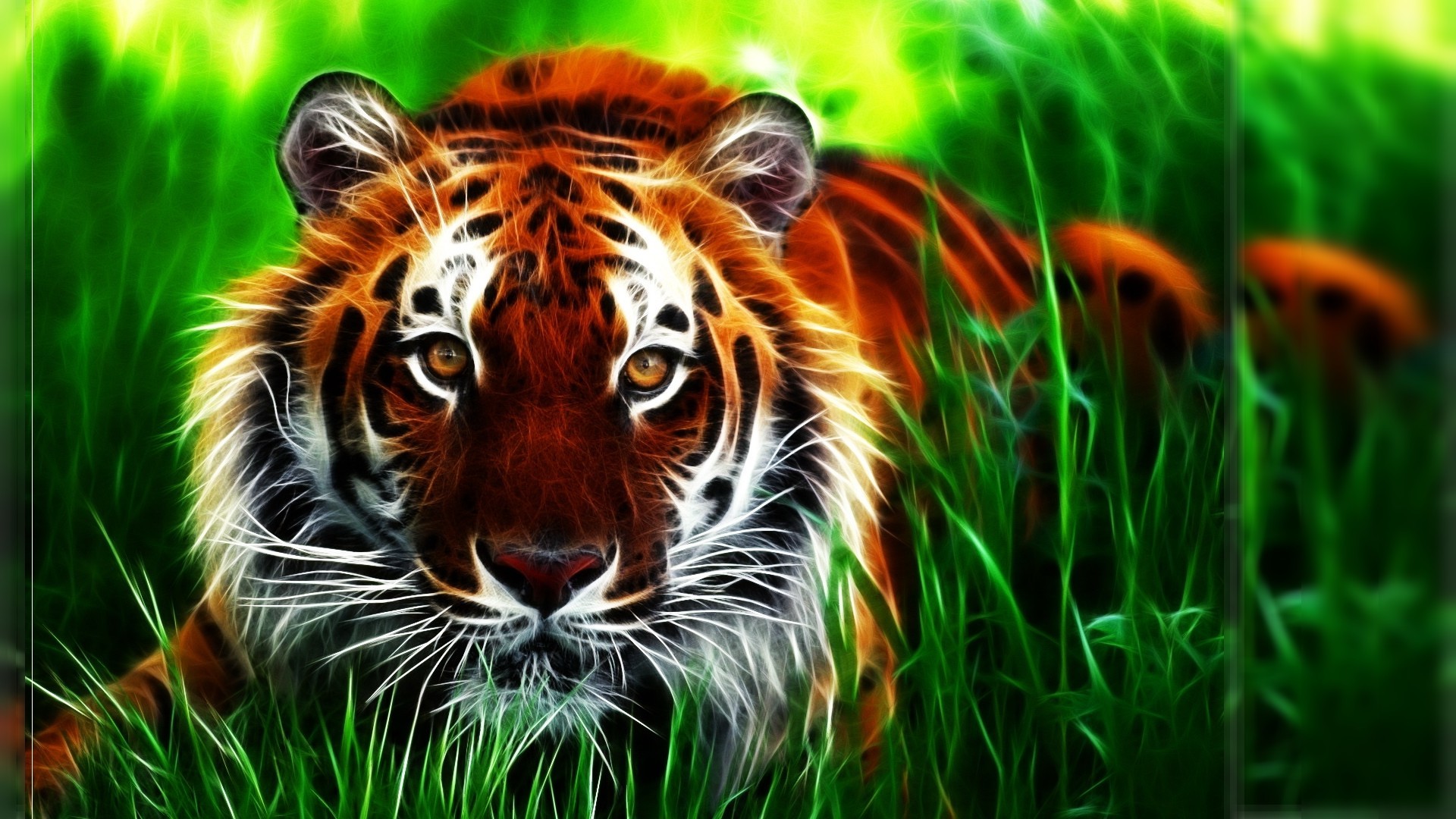 1920x1080 Amazing 3d hd wallpapers tiger On Image Wallpapers with 3d hd wallpapers  tiger Download HD Wallpaper