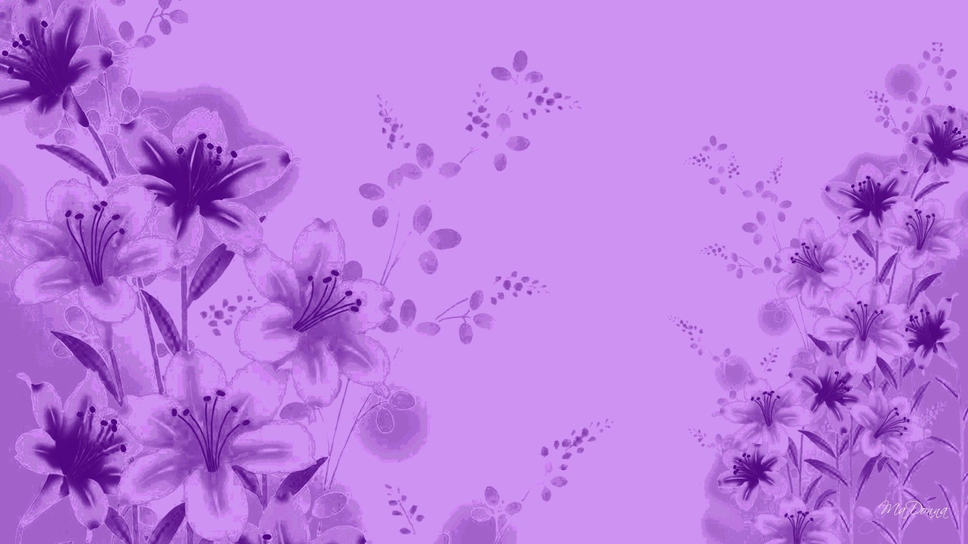 1920x1080 Lavender Flower Wallpapers HD PixelsTalk Lavender Wallpaper Android Apps on  Google Play 