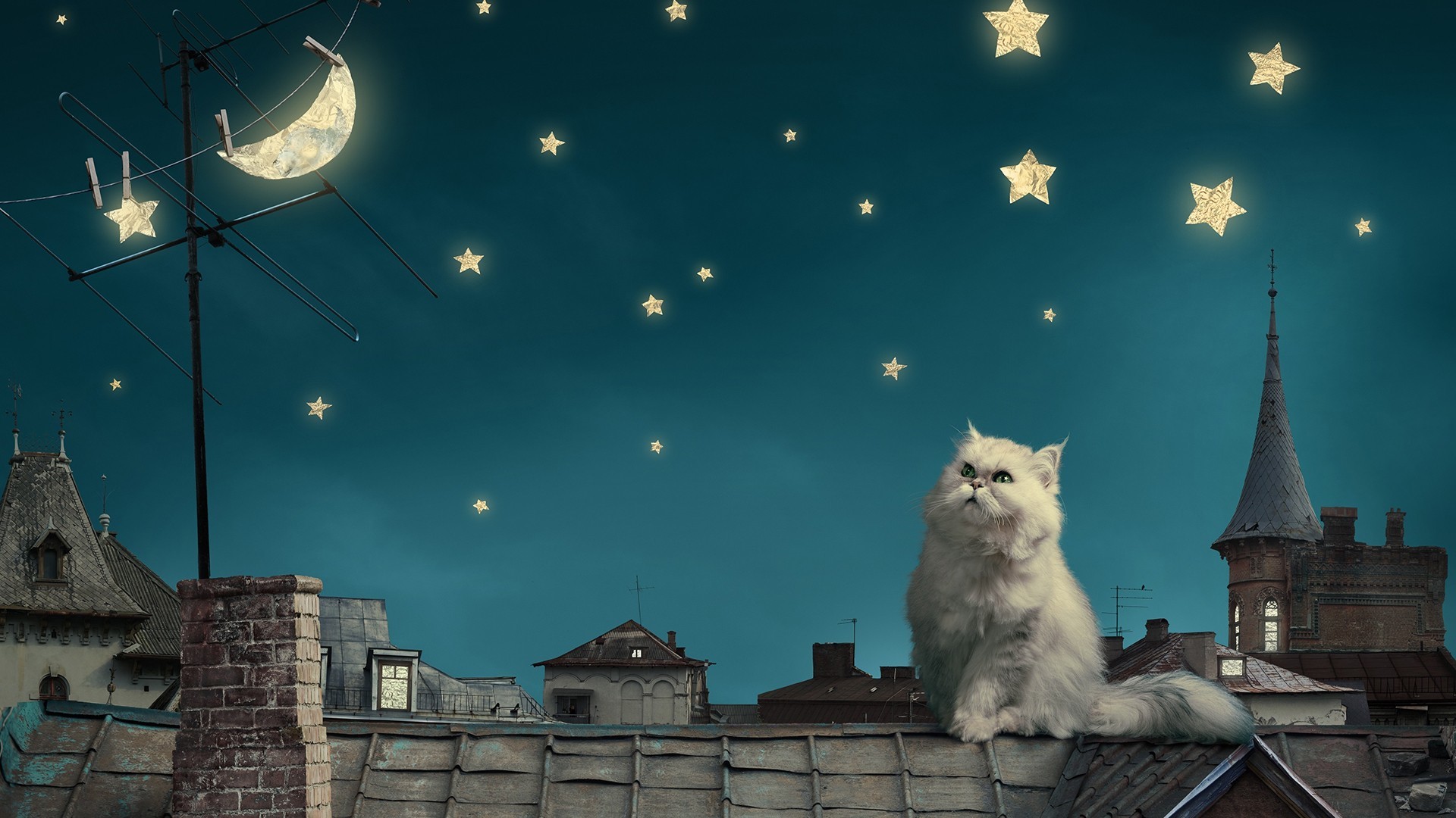 1920x1080 Moon And Stars Wallpapers Cat moon and stars wallpaper