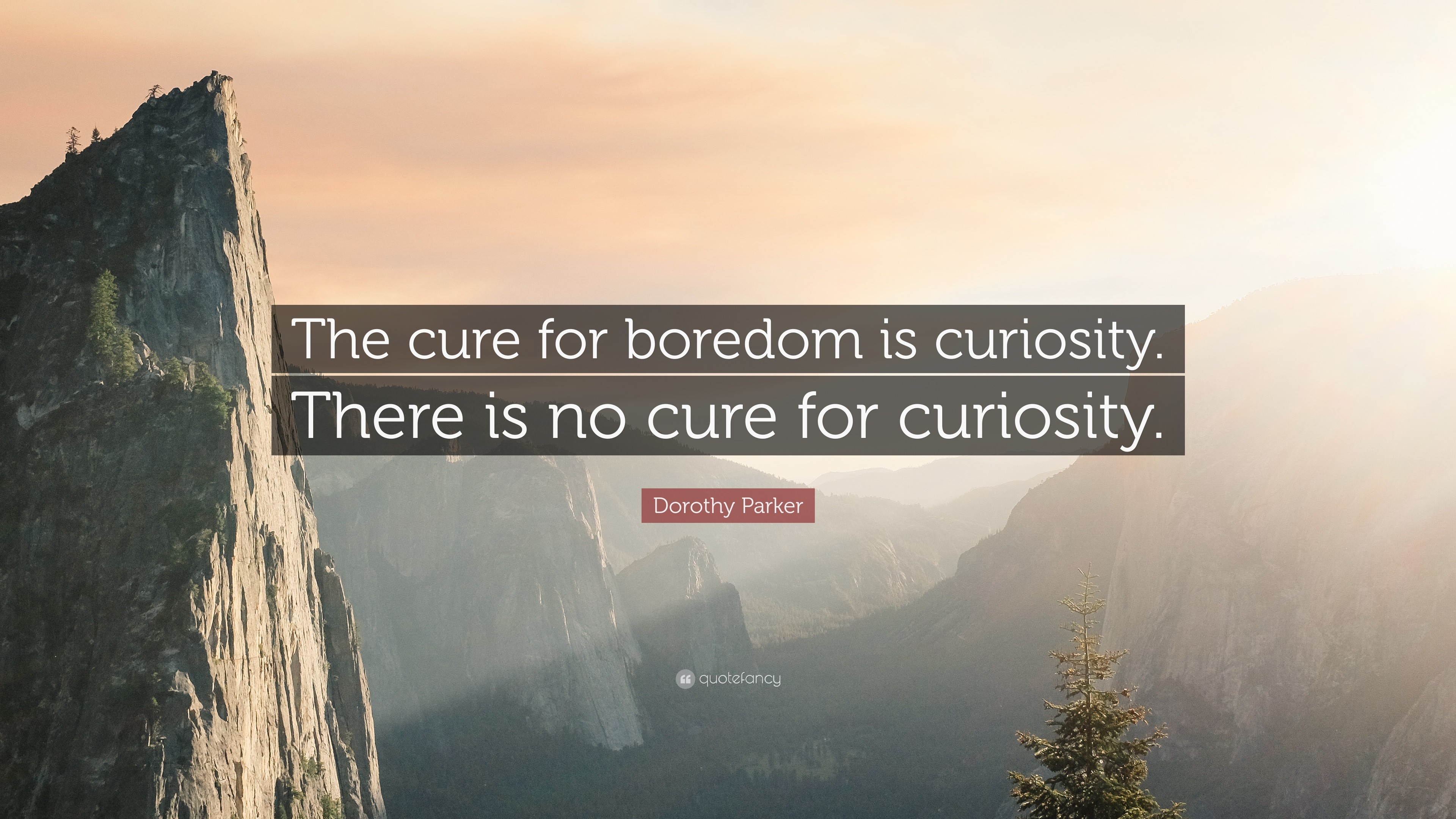 3840x2160 Dorothy Parker Quote: “The cure for boredom is curiosity. There is no cure