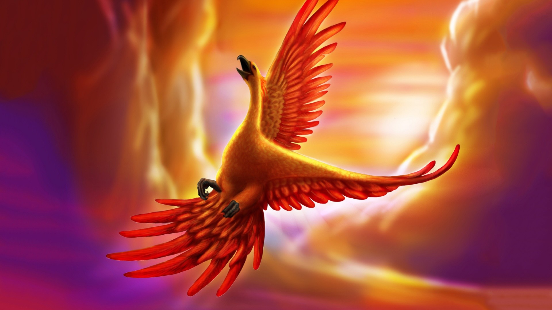 1920x1080 Fire phoenix bird wallpaper HD.