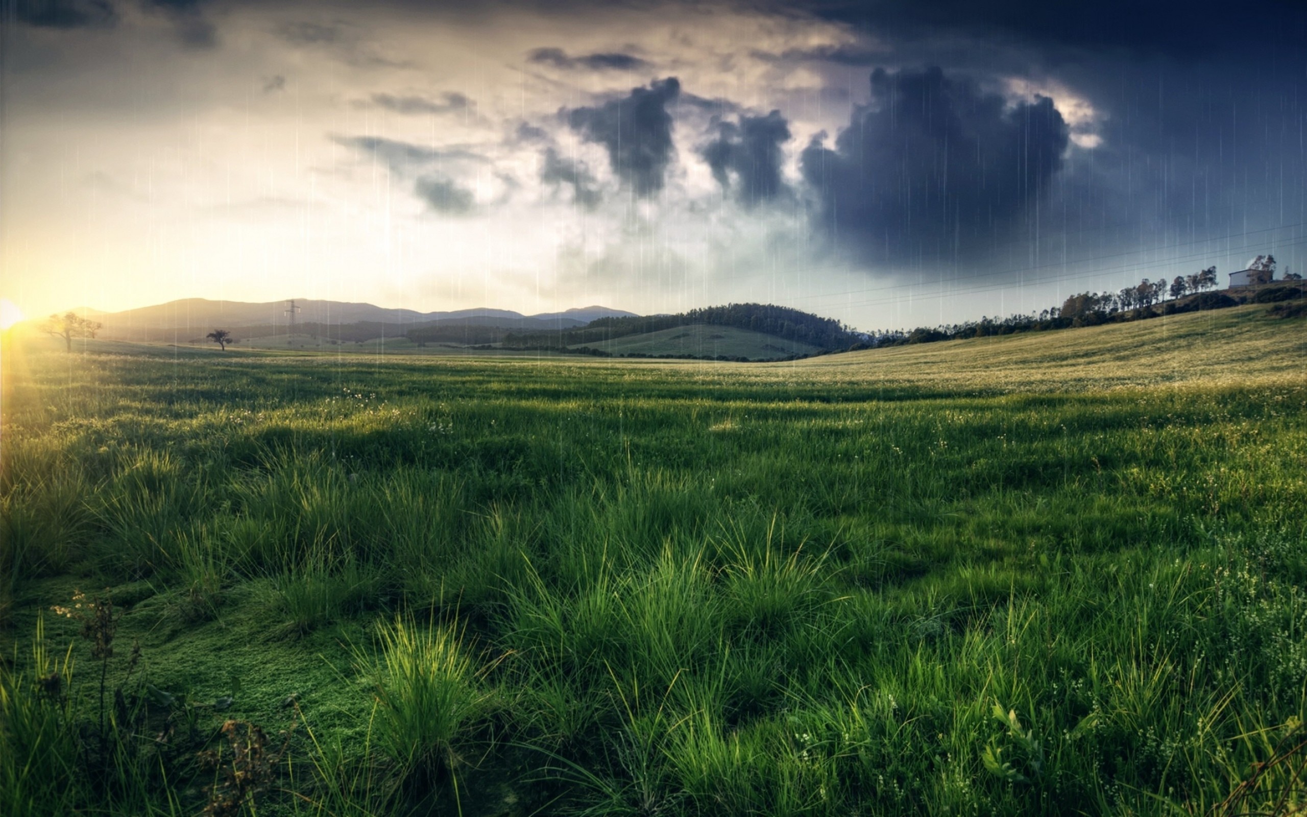 2560x1600 Rainy Day wallpapers and stock photos