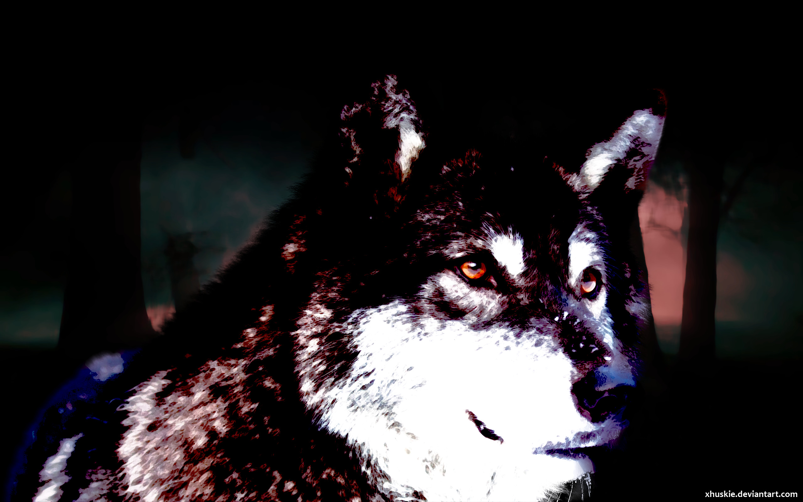 2560x1600 Black Wolf Wallpaper by xHuskie Black Wolf Wallpaper by xHuskie