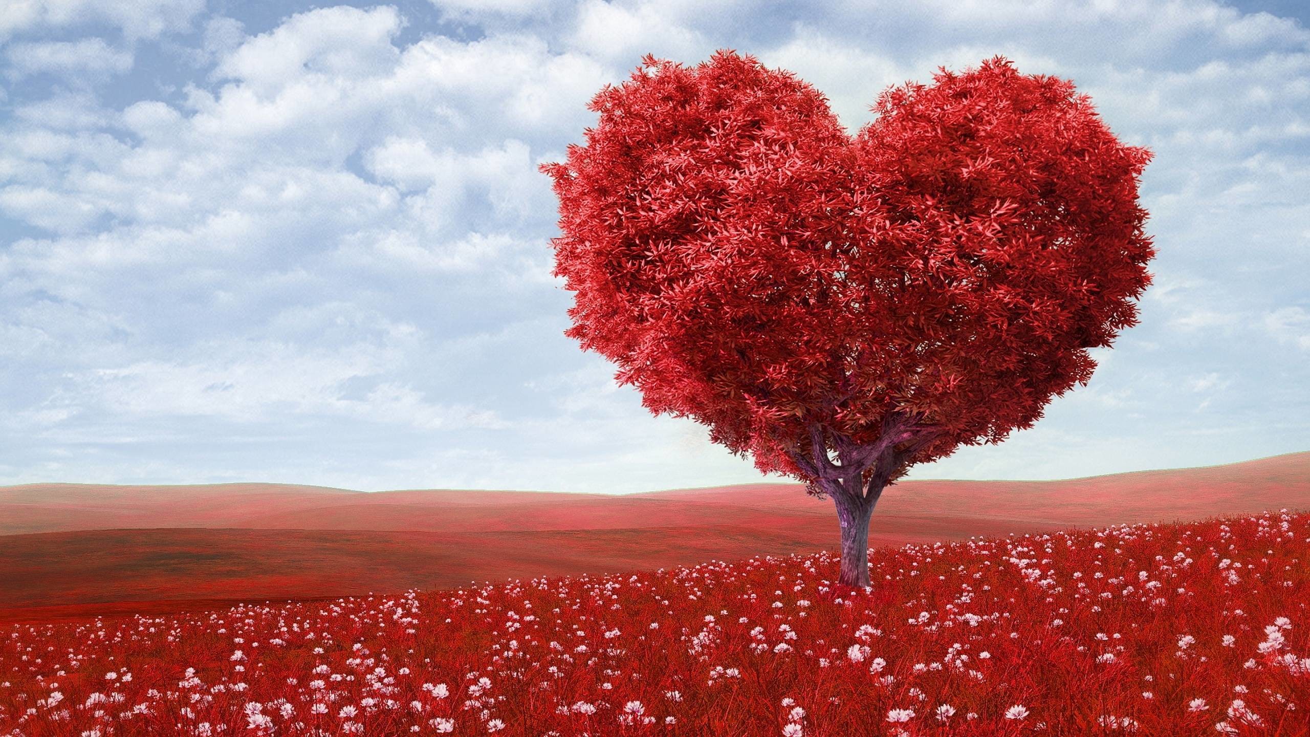 2560x1440 Wallpapers For > Red Hearts Background Hd