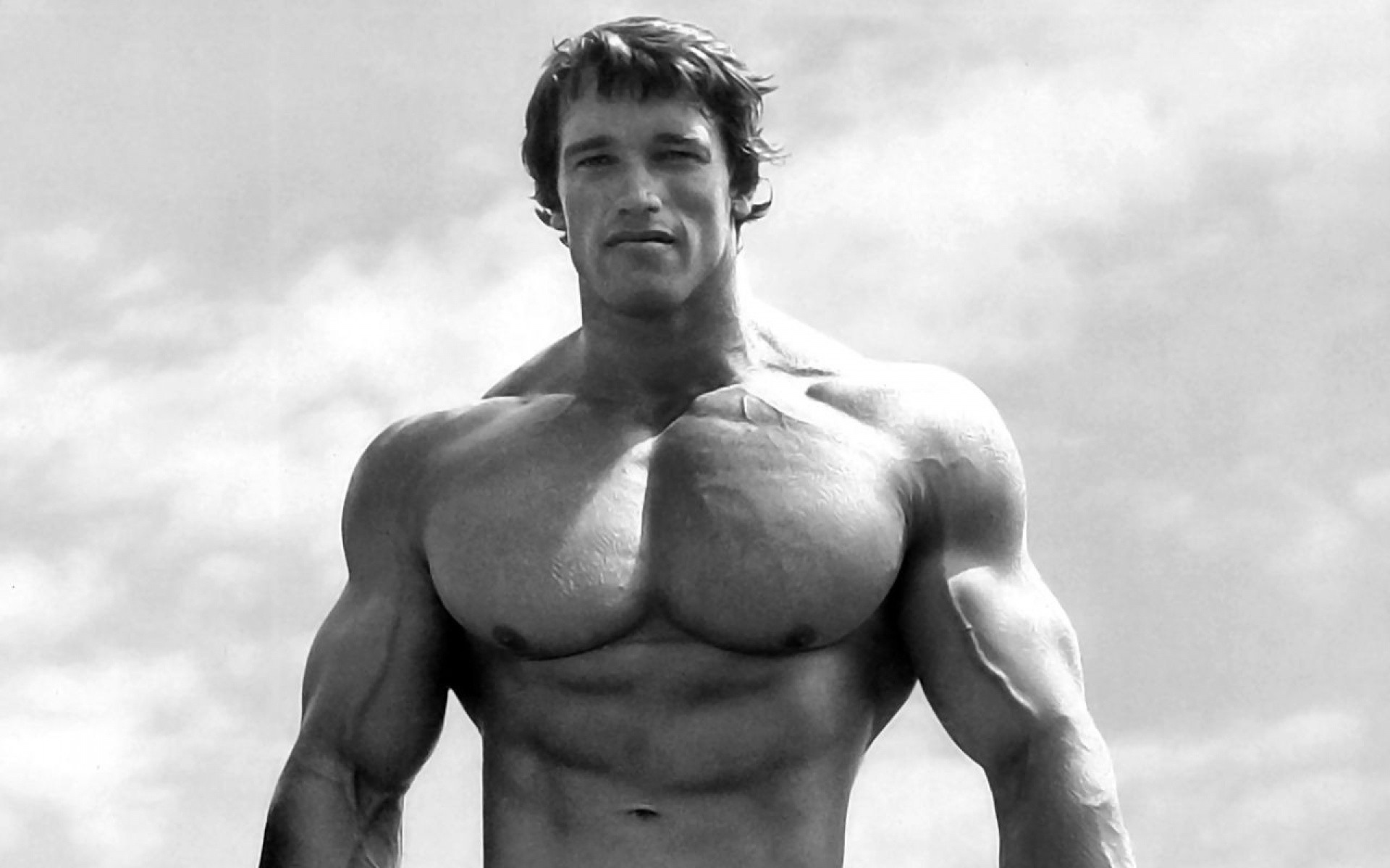 1920x1200 Pictures of Arnold Schwarzenegger when he was at his bodybuilding best.  Arnold was the best and most influential bodybuilder of all time in my  opinion.