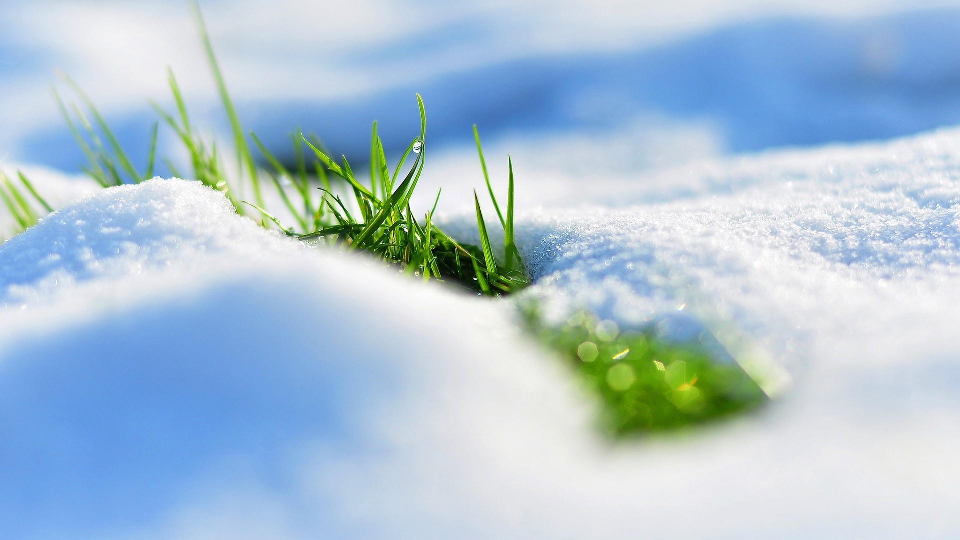 1920x1080 Preview wallpaper spring, snow, grass, reflections 