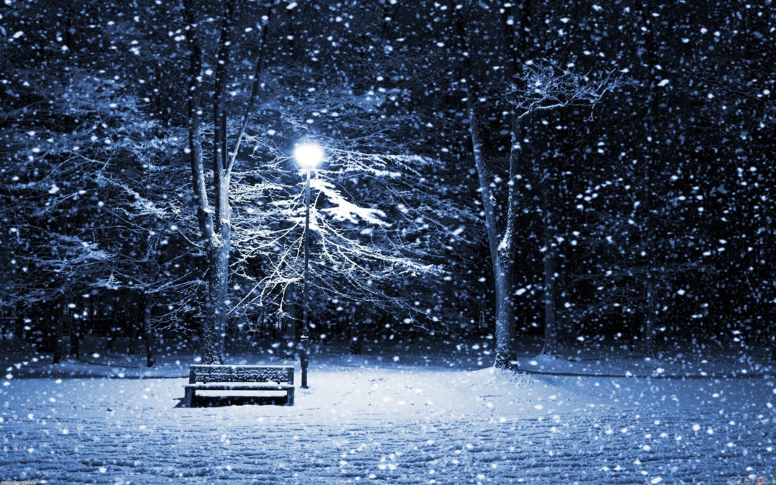 2560x1600 Night - snow over the park. Beautiful Nature Landscapes Desktop Wallpapers.  Awsome Landscape Wallpapers. HD Wallpaper Download for iPad and iPhone ...