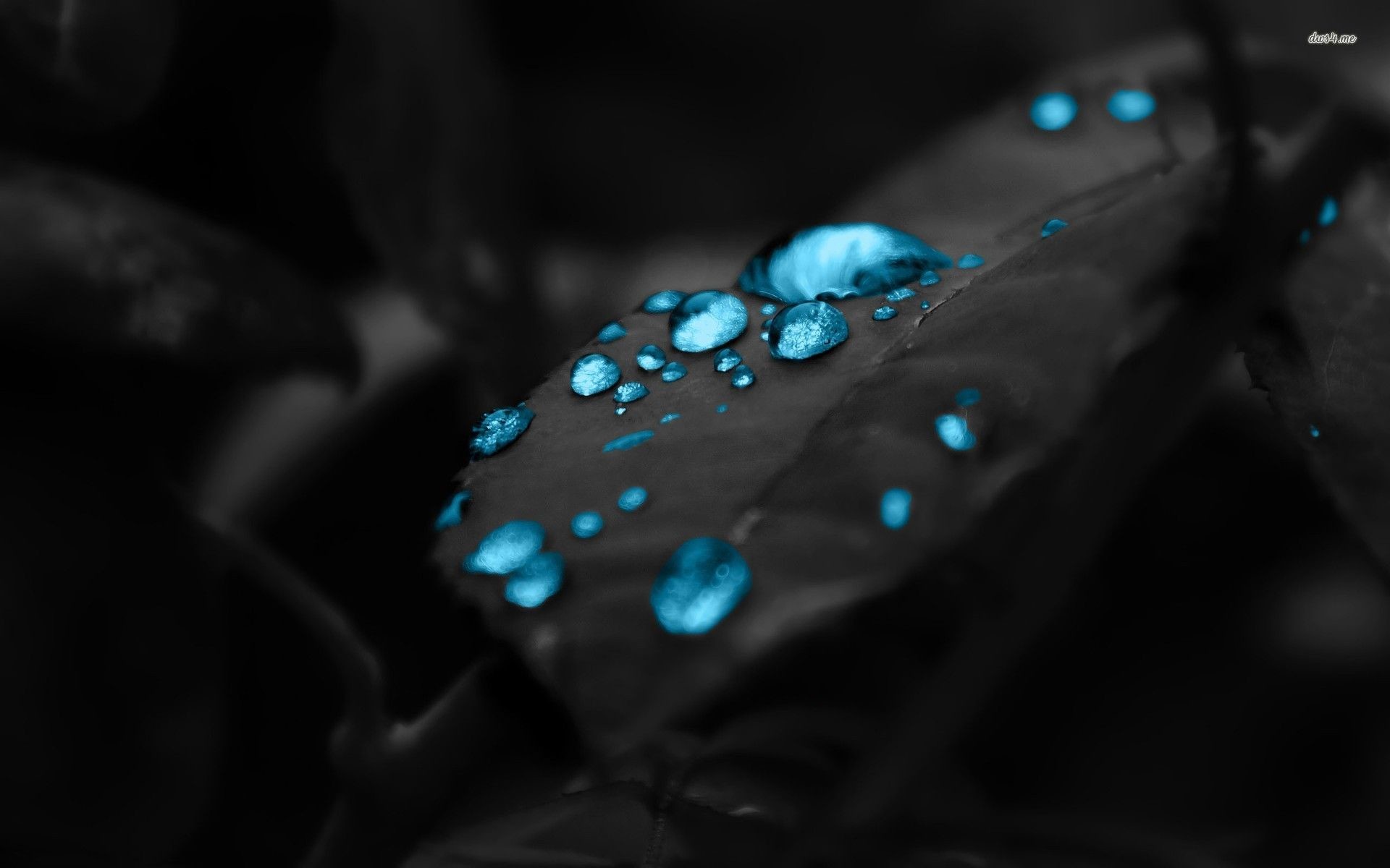 1920x1200 Dark blue water drop On Black surface []