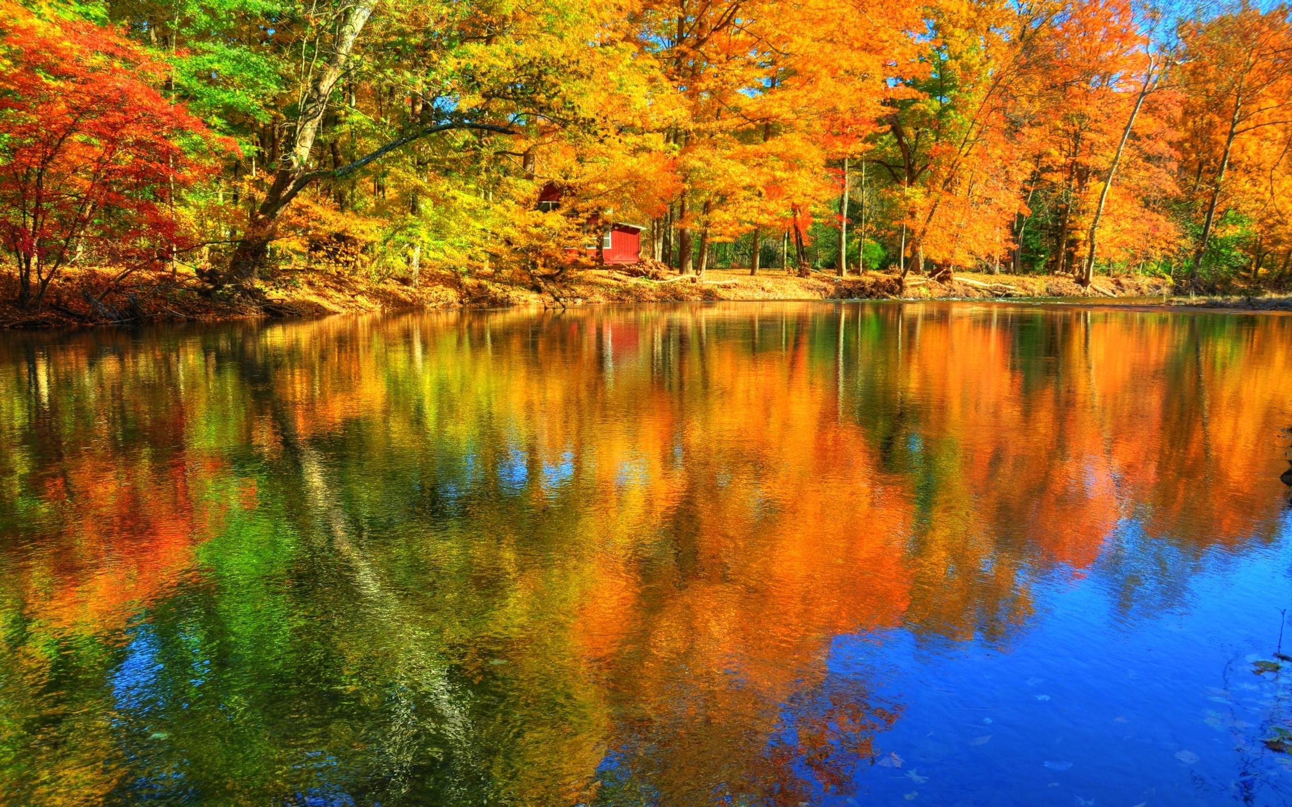 2560x1600 Lakes: Autumn Reflections Forest Lake Colors Water Fall Trees .