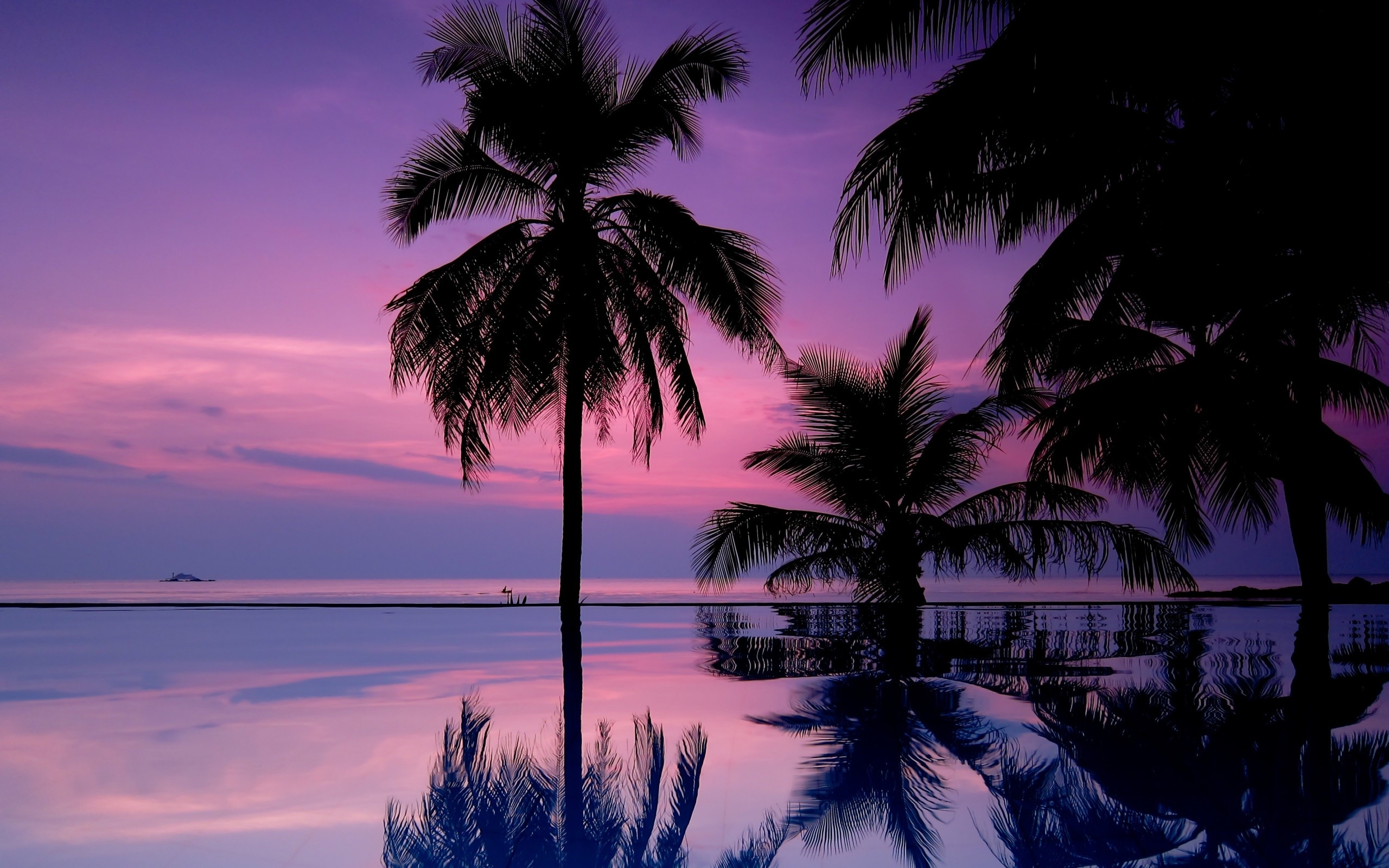 2560x1600  Sunset palm trees iphone wallpaper