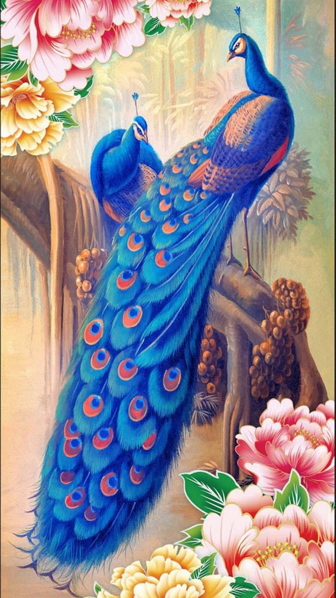 1080x1920 Beauty Peacock Wallpaper For Mobile 