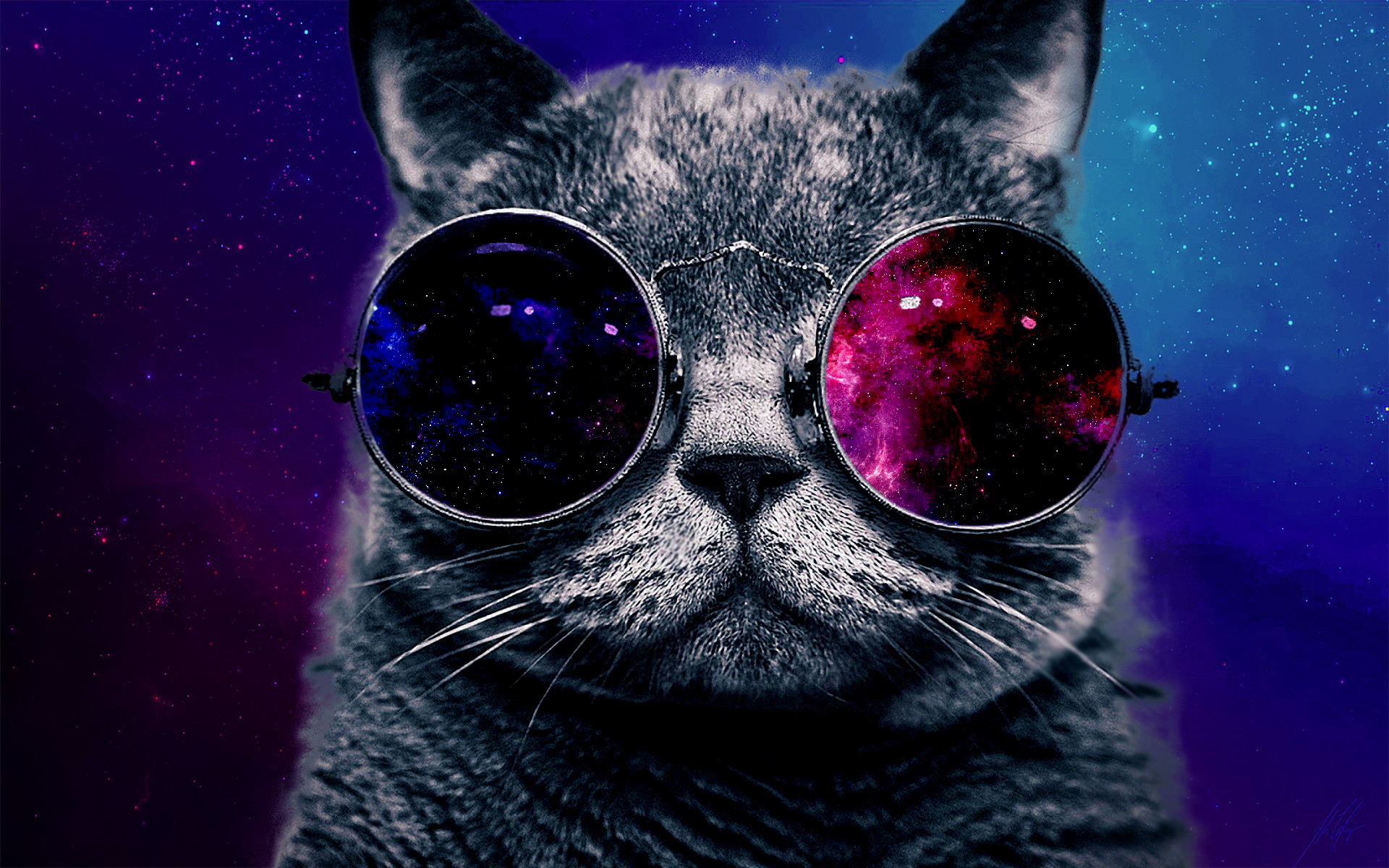 1920x1200 Cat With Glasses Cat with big glasses wallpaper id