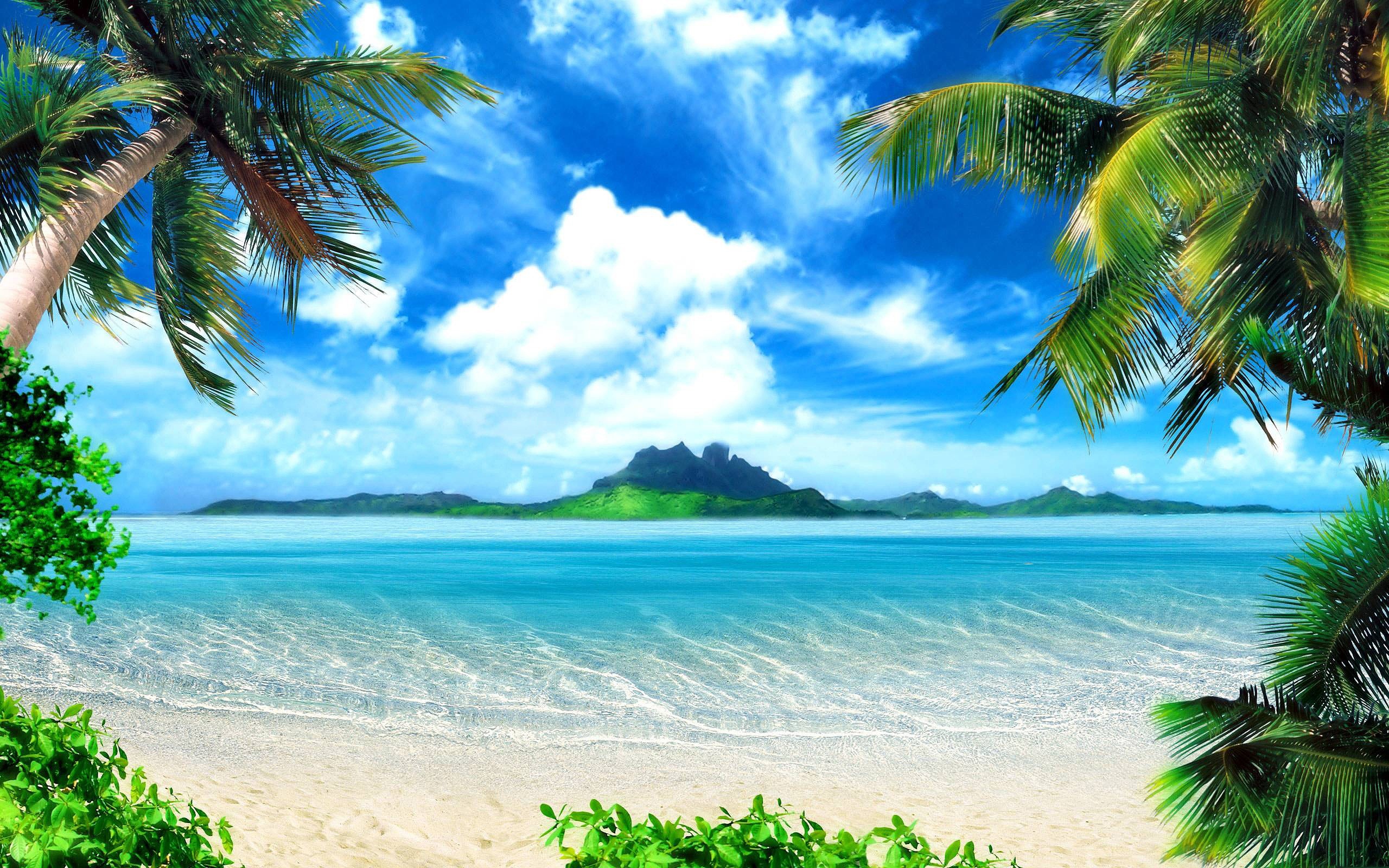 2560x1600  Tropical Beach Background Wallpaper