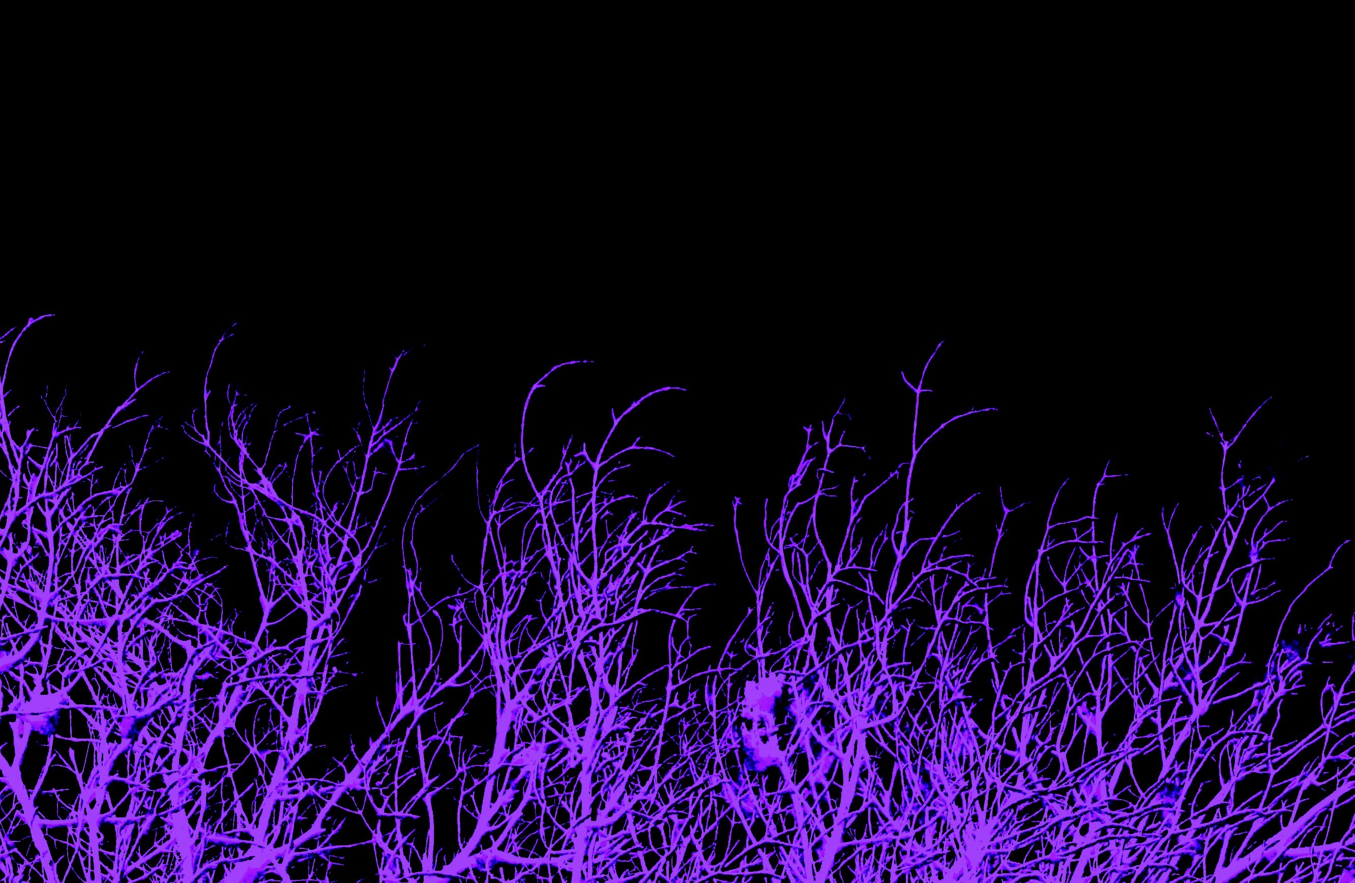 2664x1736 ... Glow Wallpaper 3-Purple by AHelton84