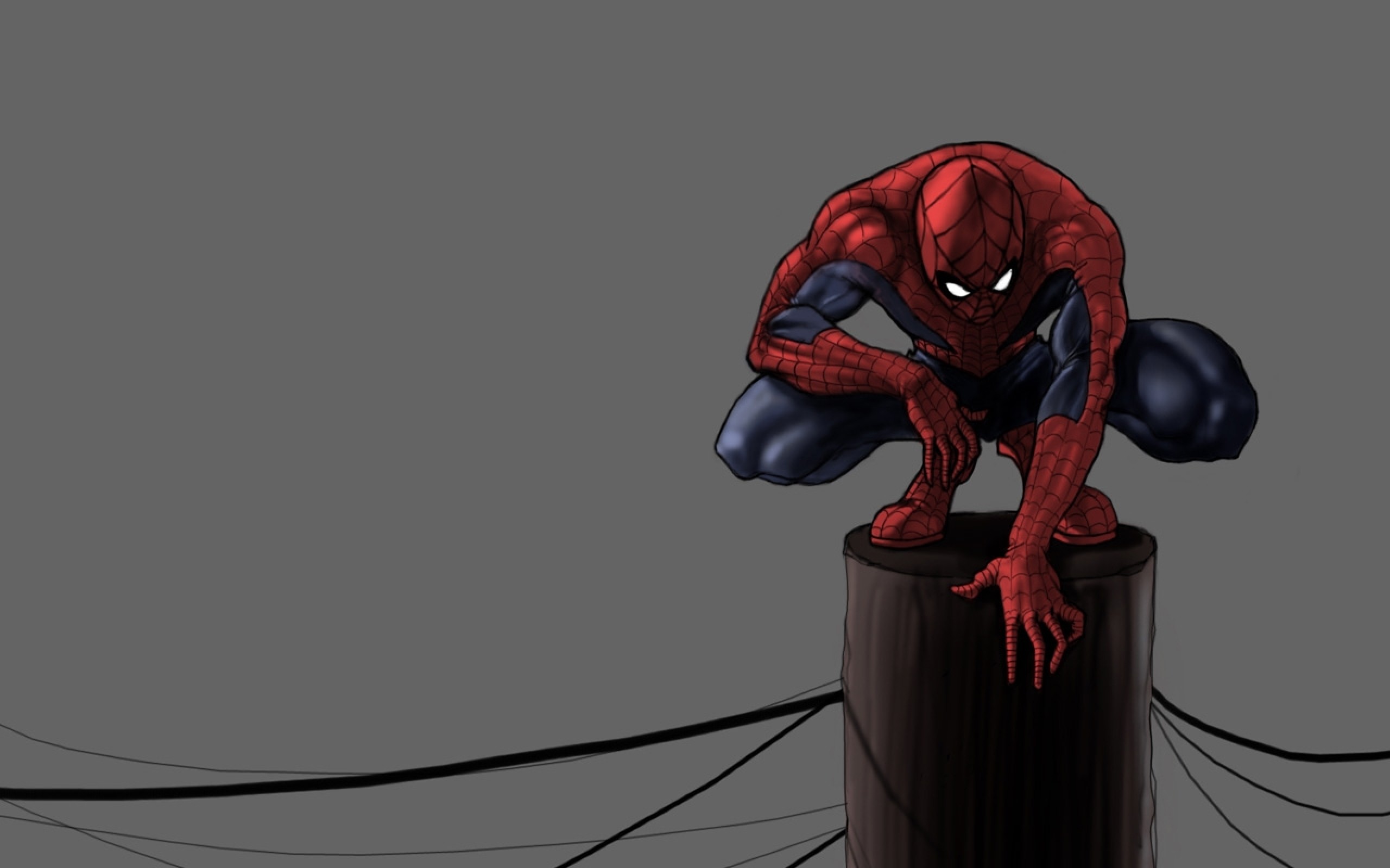 2560x1600 Cartoon Spiderman Squat on a Pole HD Grey Wallpaper Widescreen
