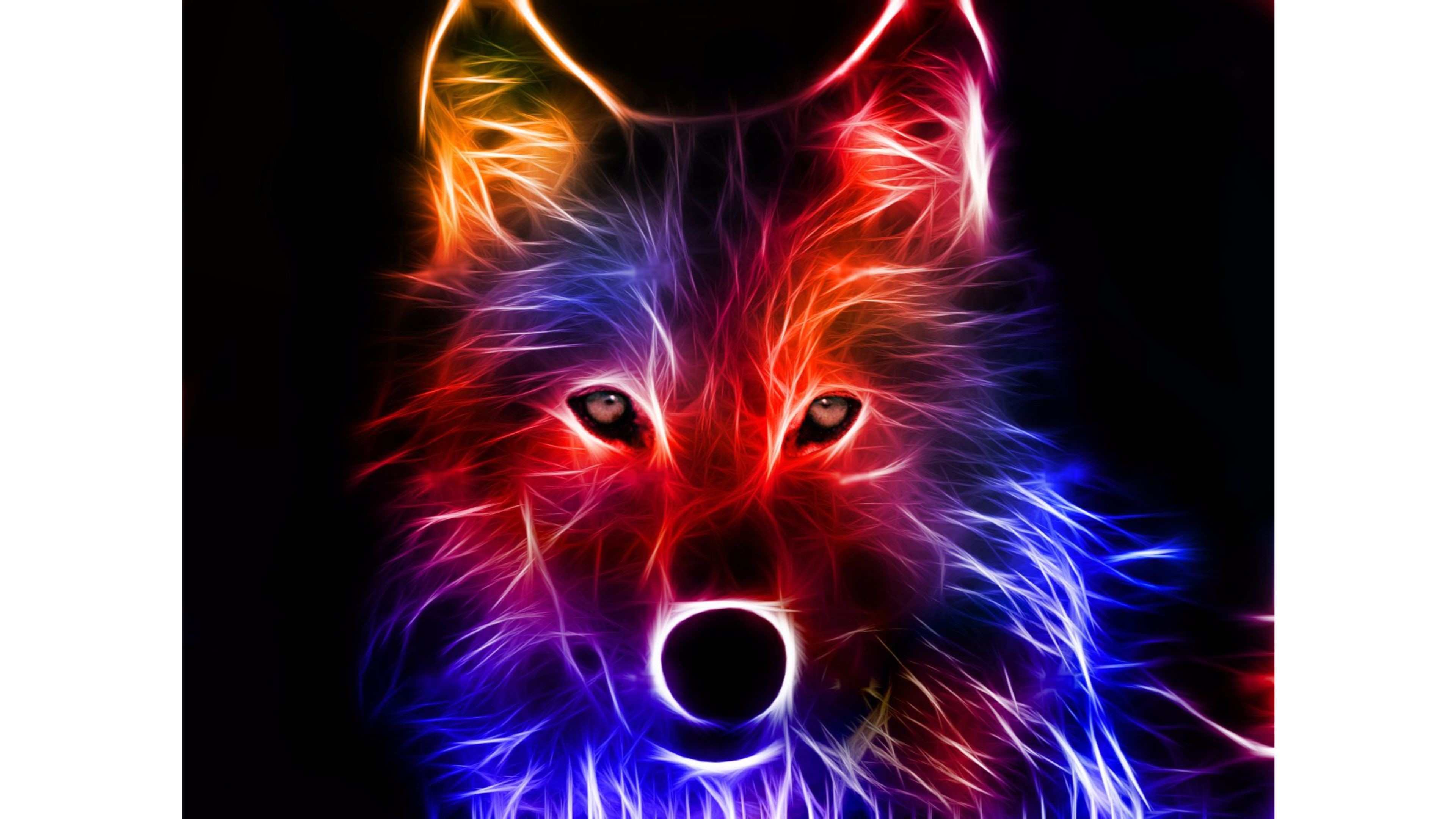 3840x2160 Colored Wolf 3D 4K Wallpaper | Free 4K Wallpaper