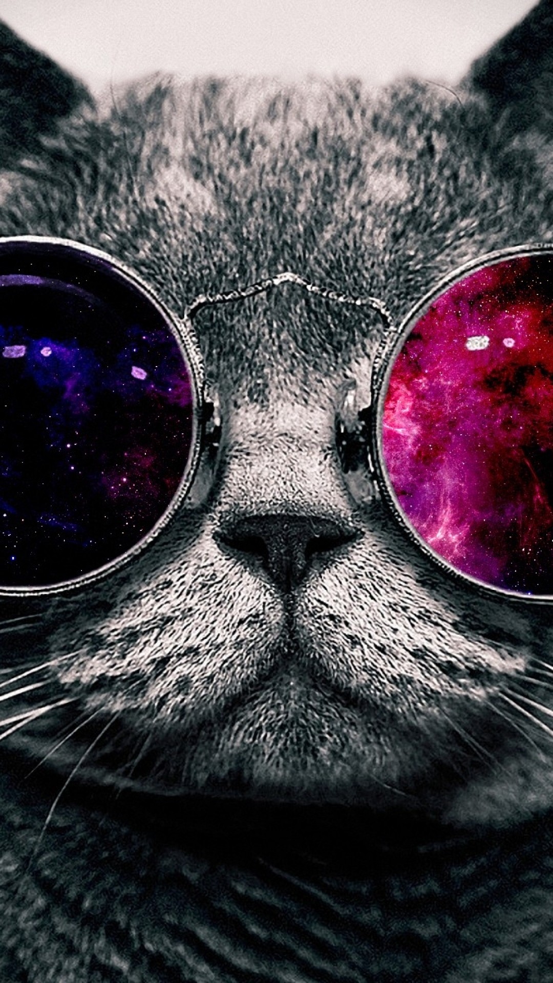 1080x1920  Wallpaper cat, face, glasses, thick