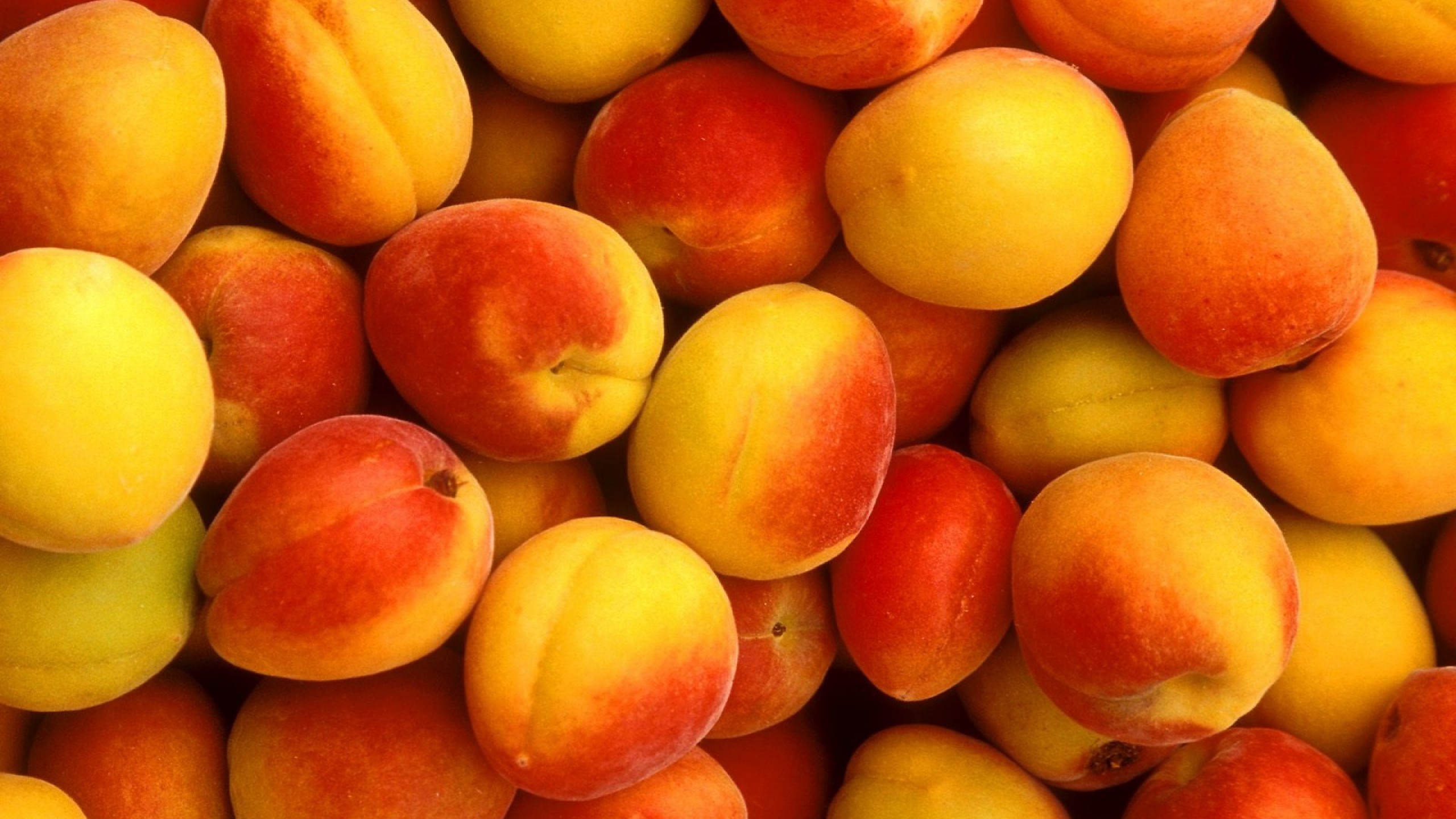 2560x1440  Wallpaper apricot, fruit, sweet
