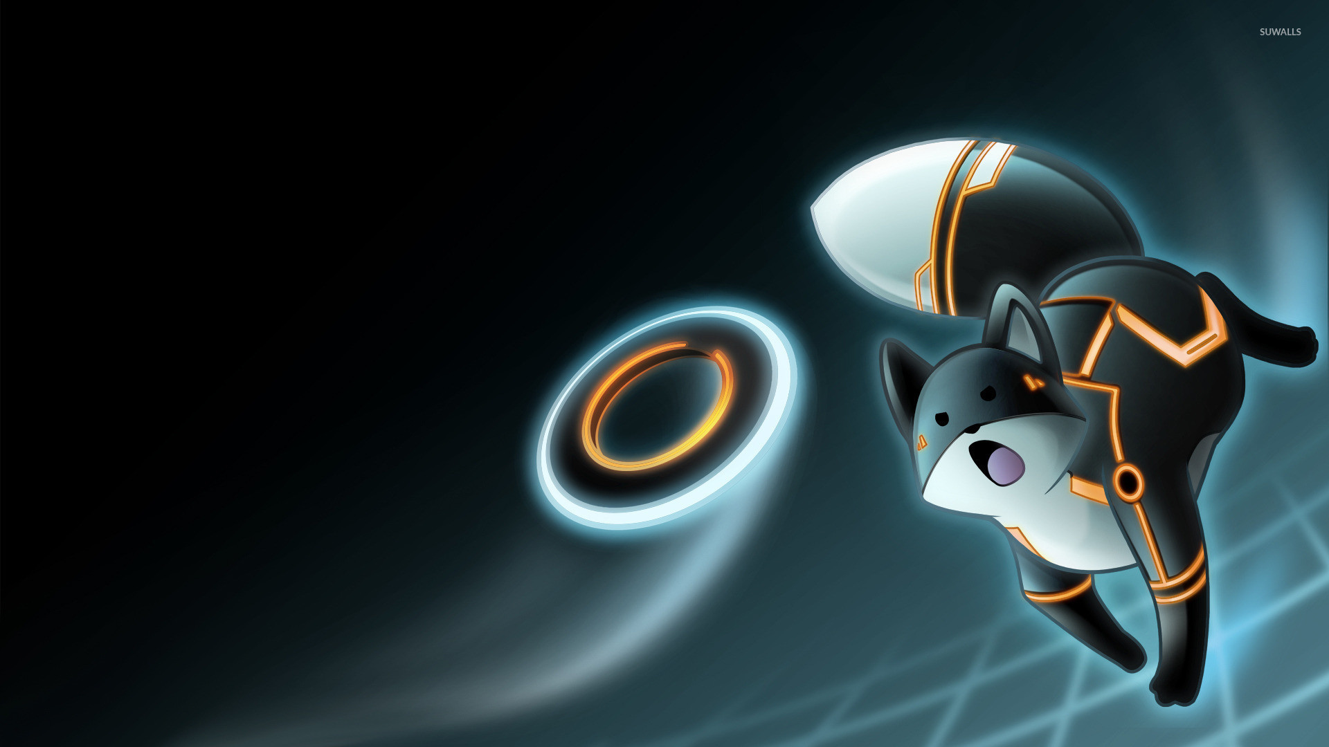 1920x1080  Top Space Cat Wallpaper Images for Pinterest