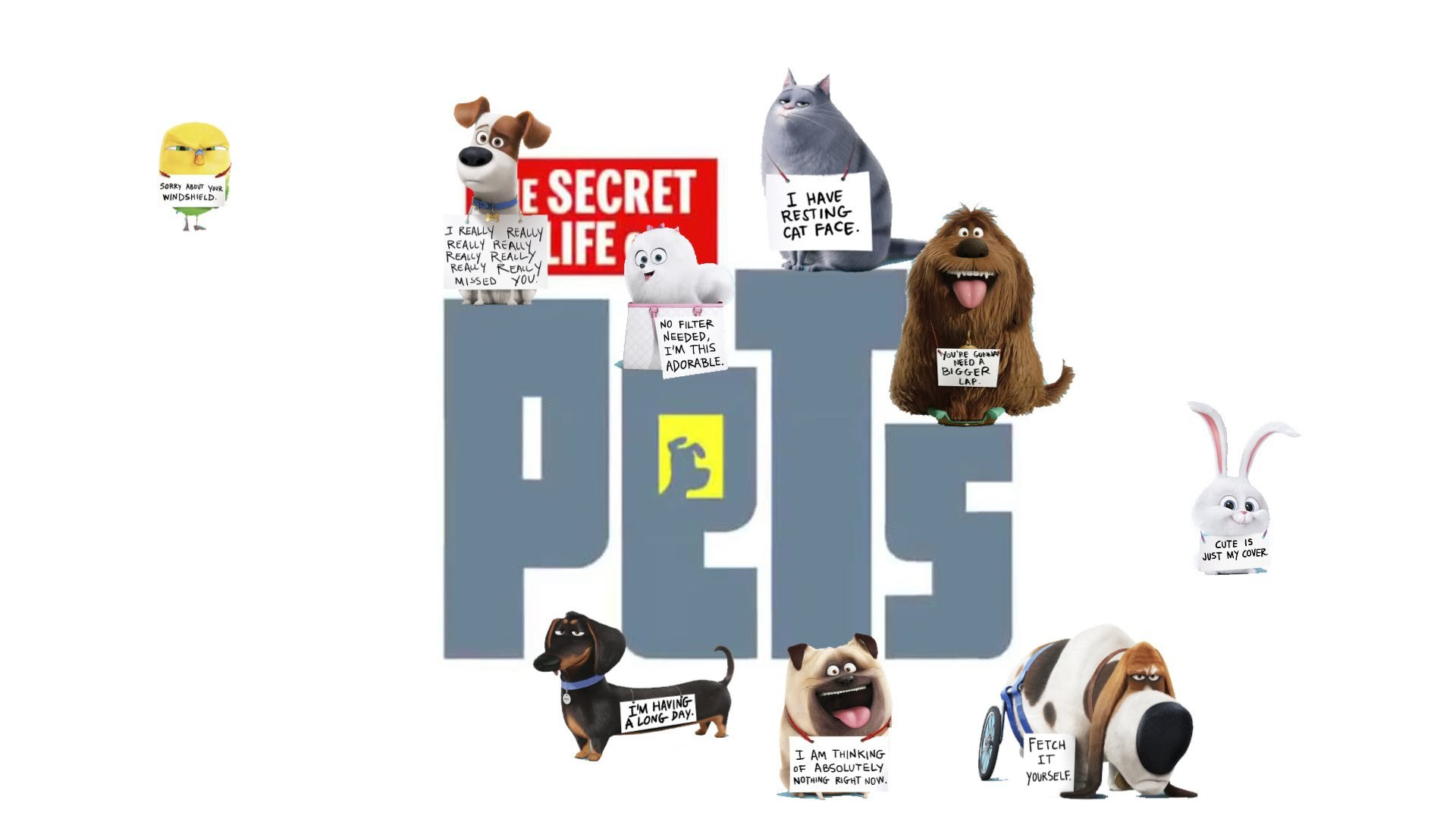1920x1080 The Secret Life Of Pets Wallpaper HD Wallpapers 1080p