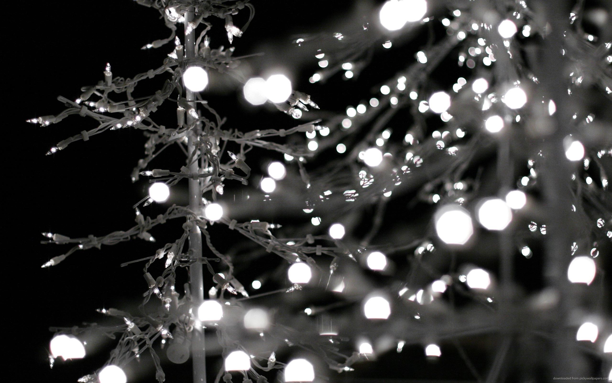 2560x1600 christmas lights twitter background ; Christmas-Lights-Background-Tumblr-18
