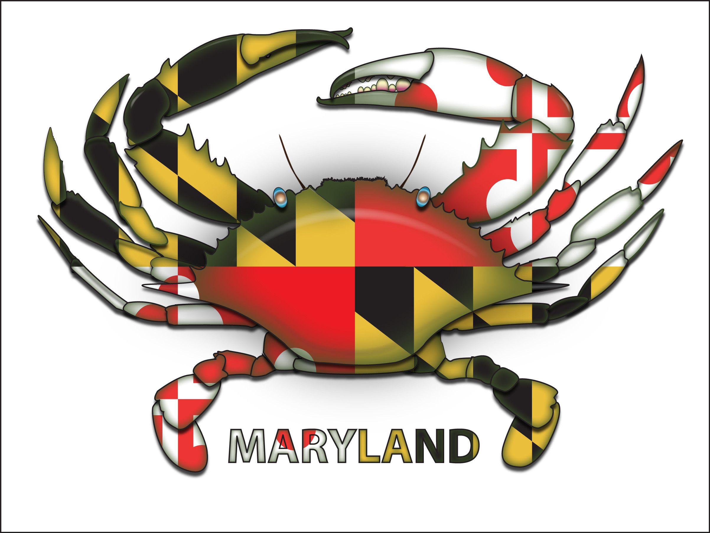 2404x1804 Maryland Flag Design Ladies.