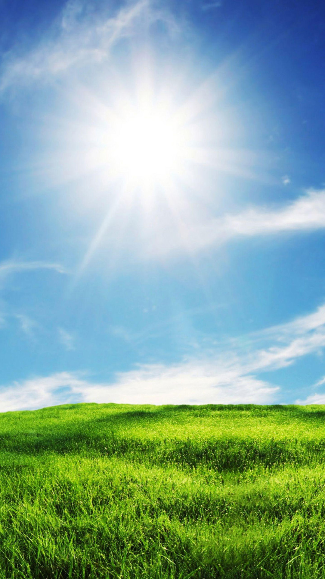 1080x1920 Sunshine and Grass iPhone 6 plus wallpaper - sky, cloud