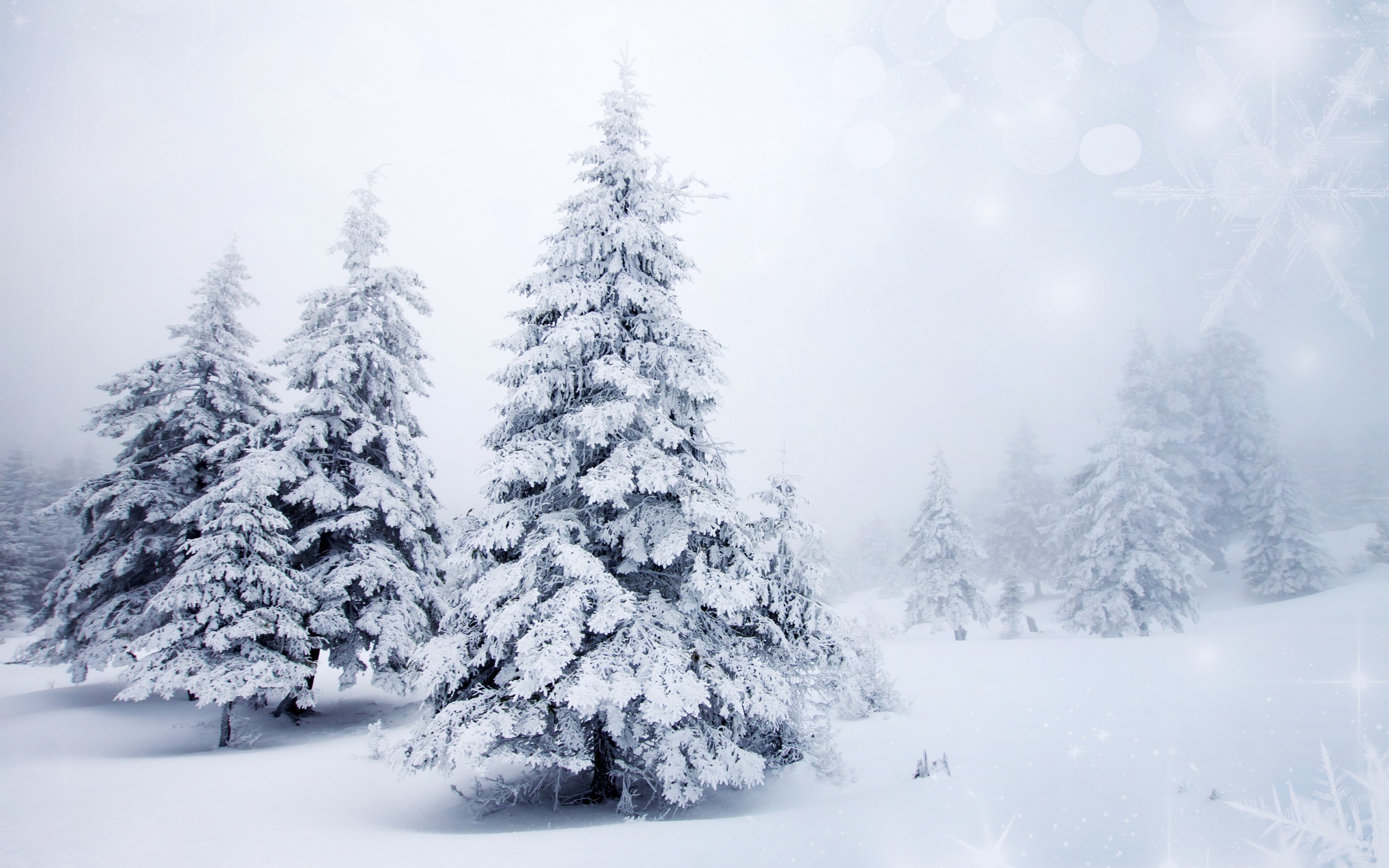 2880x1800 Snow Tie Splendor Snowy Mountains Nature Winter Landscape Trees Desktop  Wallpaper Christmas