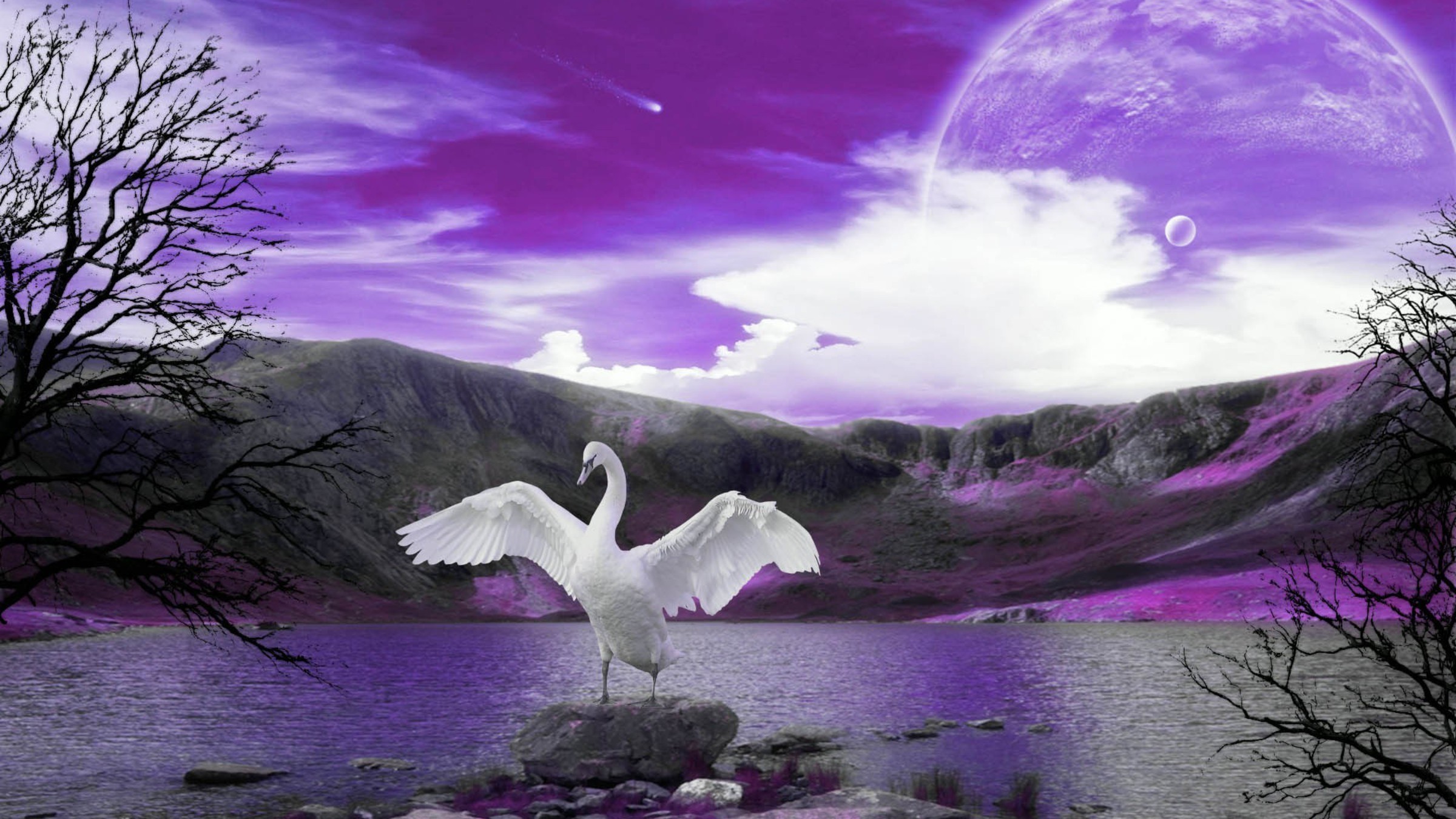 Луна лебединая. Озеро с лебедями фэнтези. Лебеди в небе. Волшебный лебедь. Сказочный лебедь.