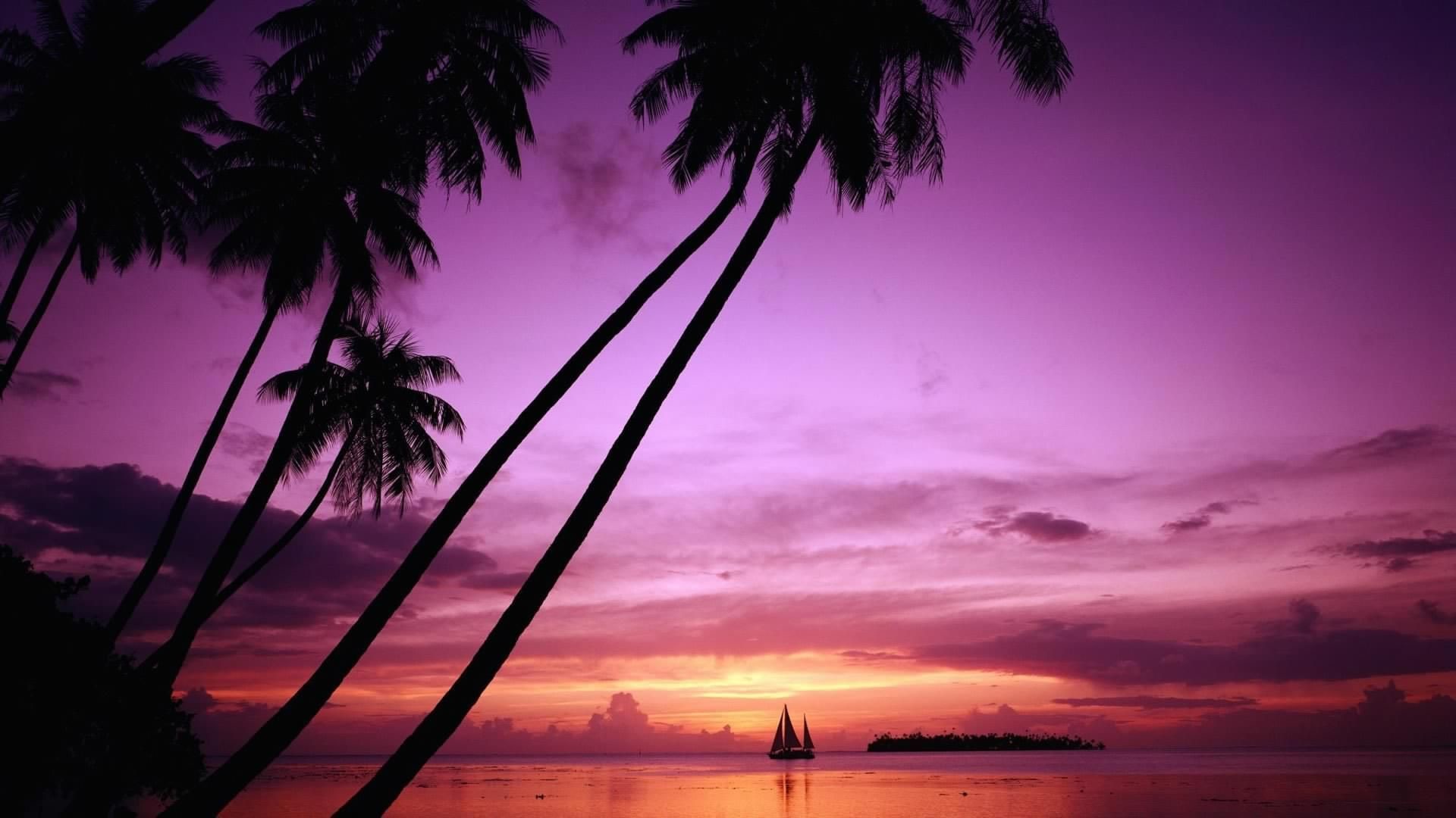 1920x1080 Palm-Tree-Beach-Sunset-Wallpaper-Desktop-Background-hugohd.