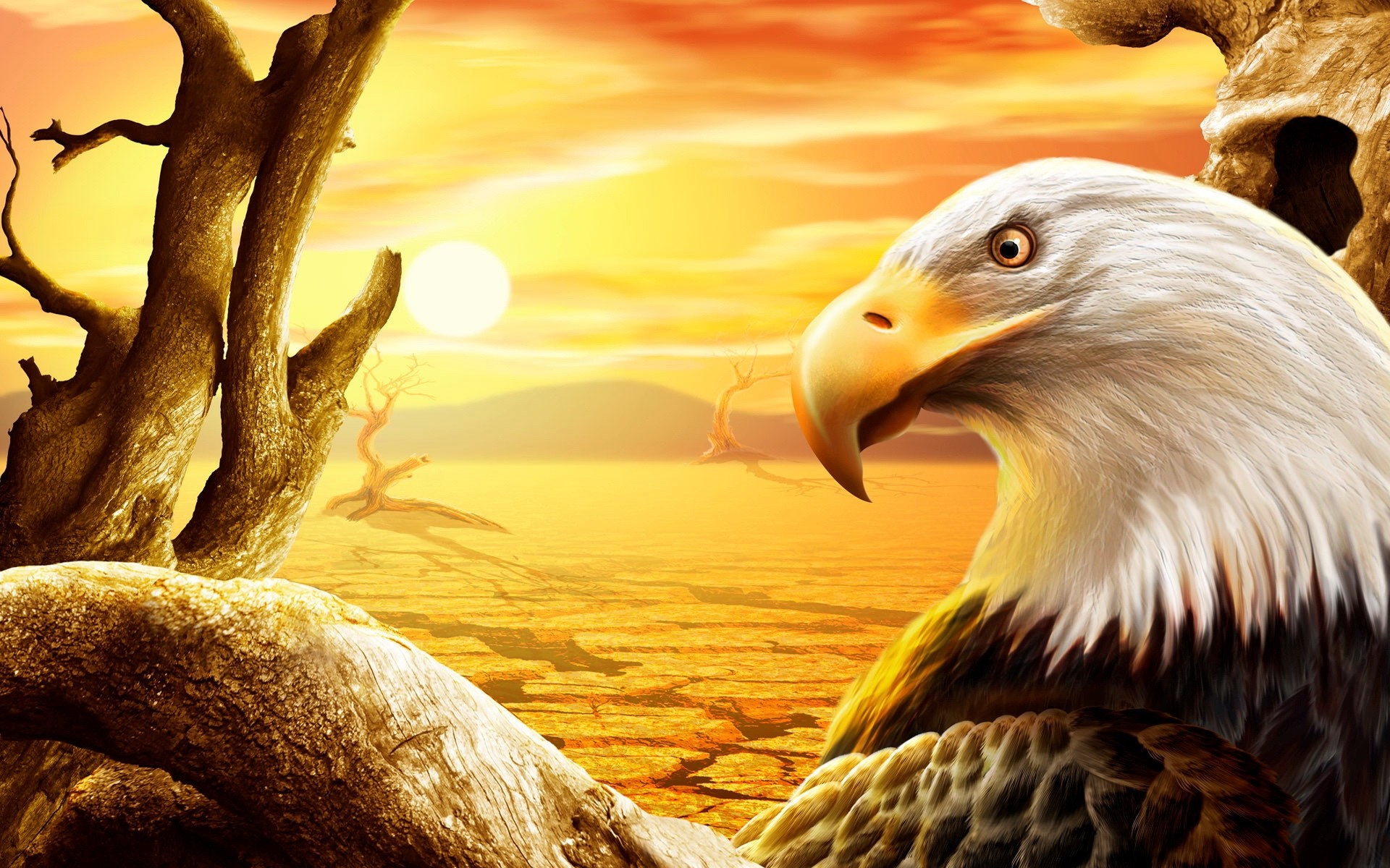 1920x1200 Eagle HD Wallpapers Backgrounds Wallpaper