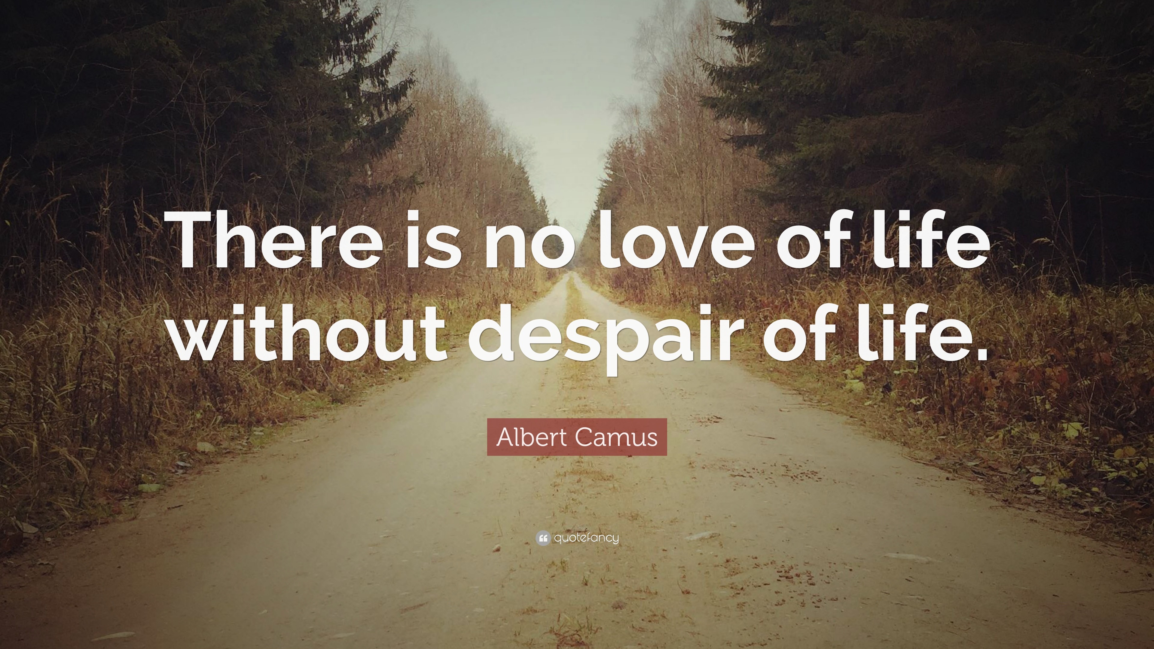 3840x2160 Albert Camus Quote: “There is no love of life without despair of life.