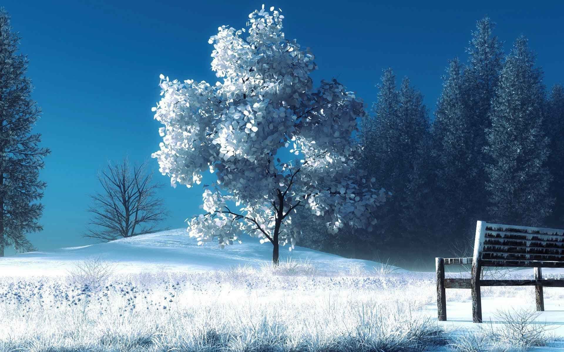 1920x1200 Landscapes Bench Winter Snow Trees Nature Wallpapers For Laptop Free  Download